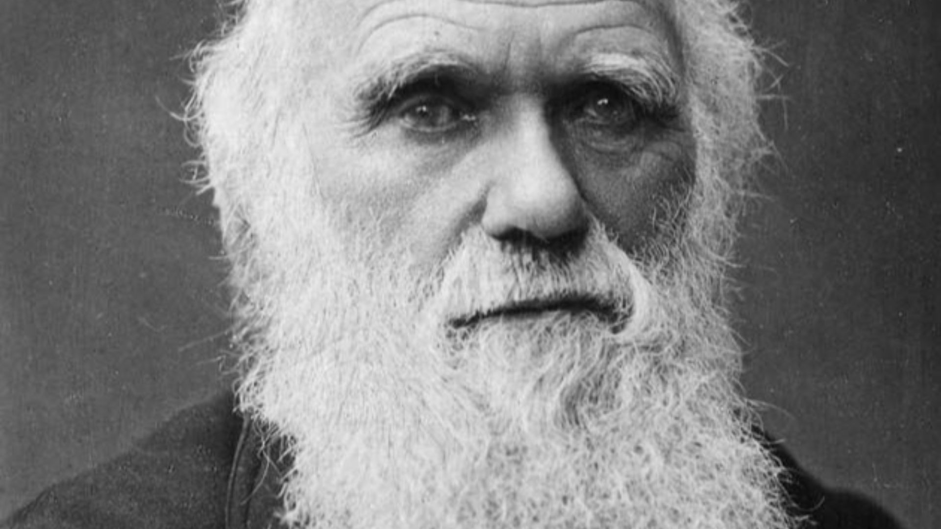 4. Darwin a dit oui au Beagle
