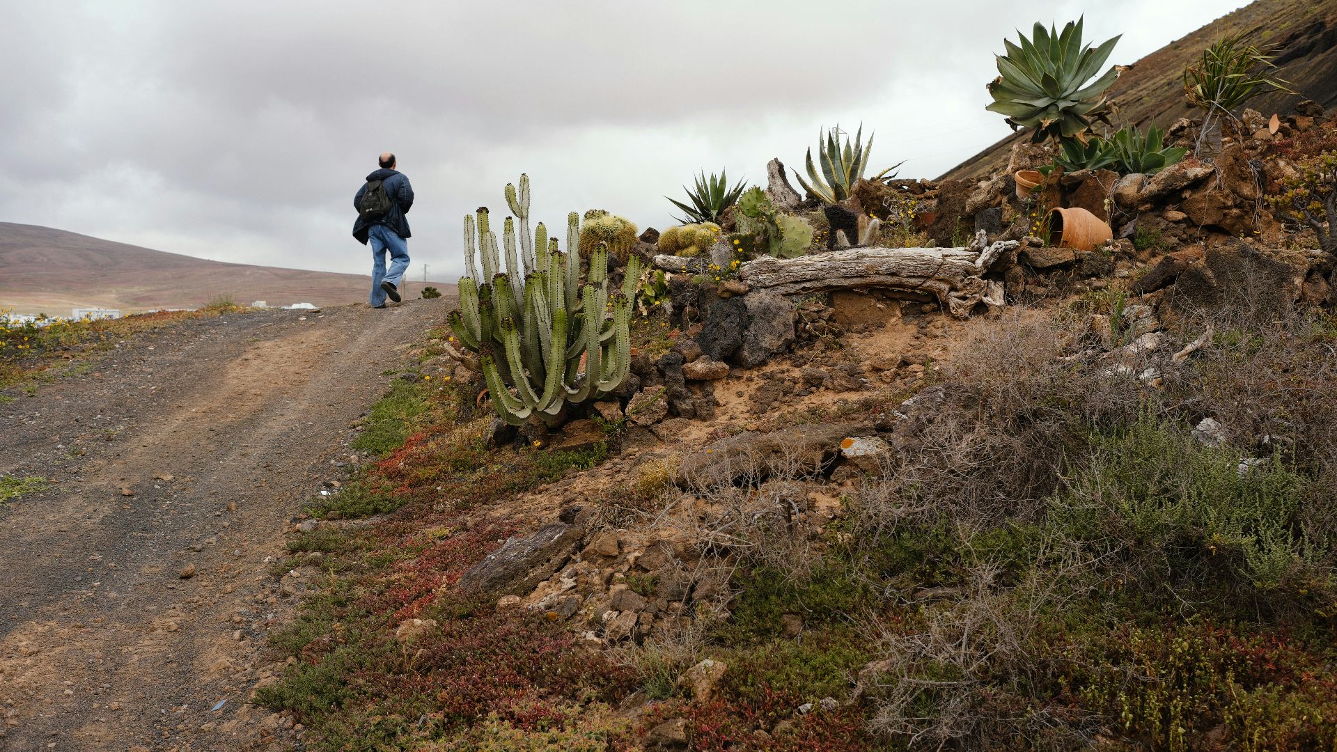 15. Empruntez la route panoramique
