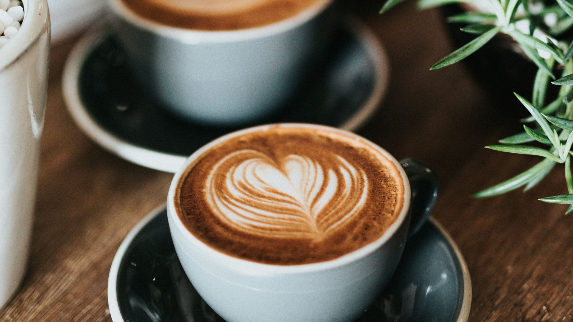 5. Grains de café