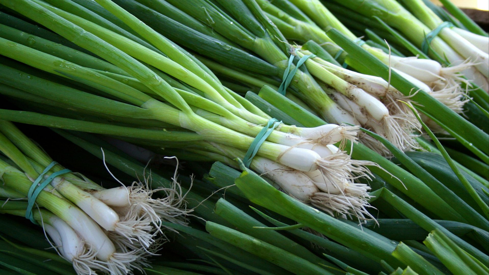 5. Oignons verts