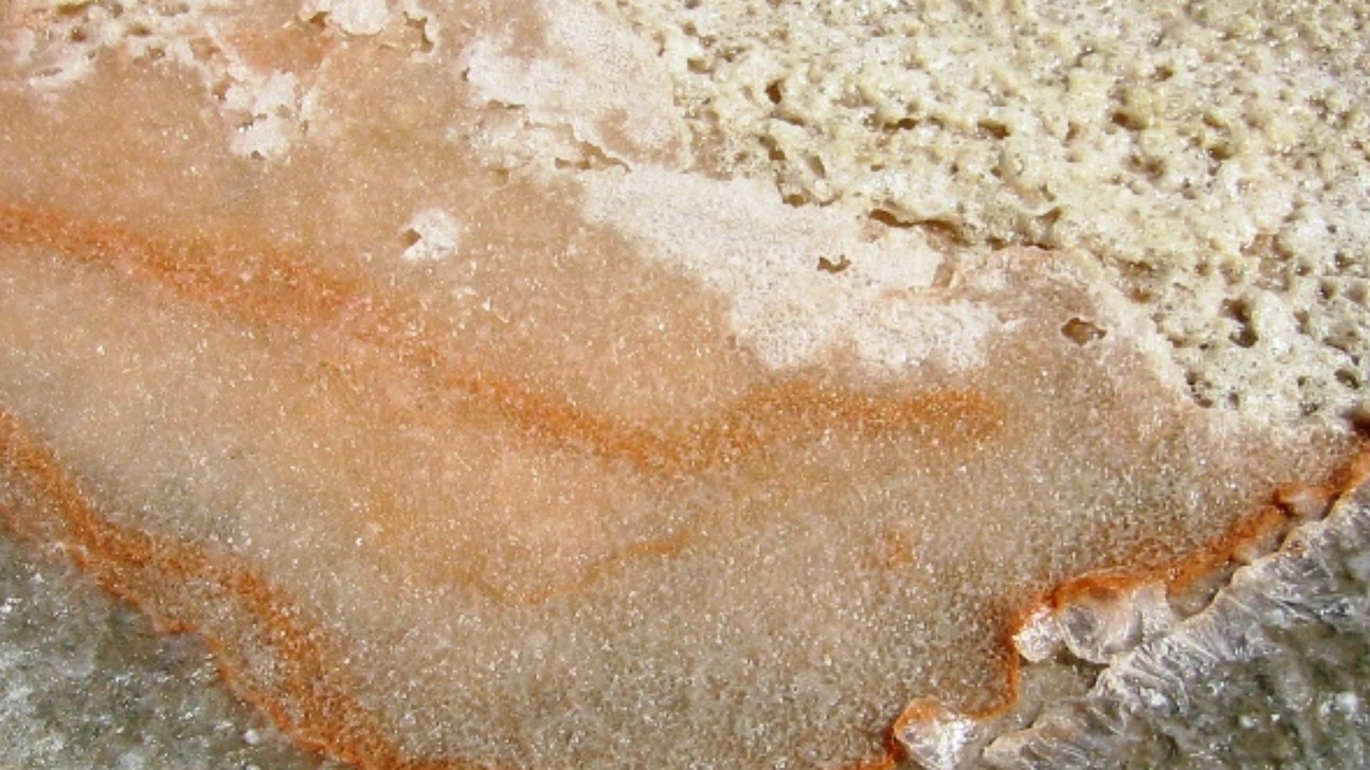 15. Fleur de sel récoltée à la main