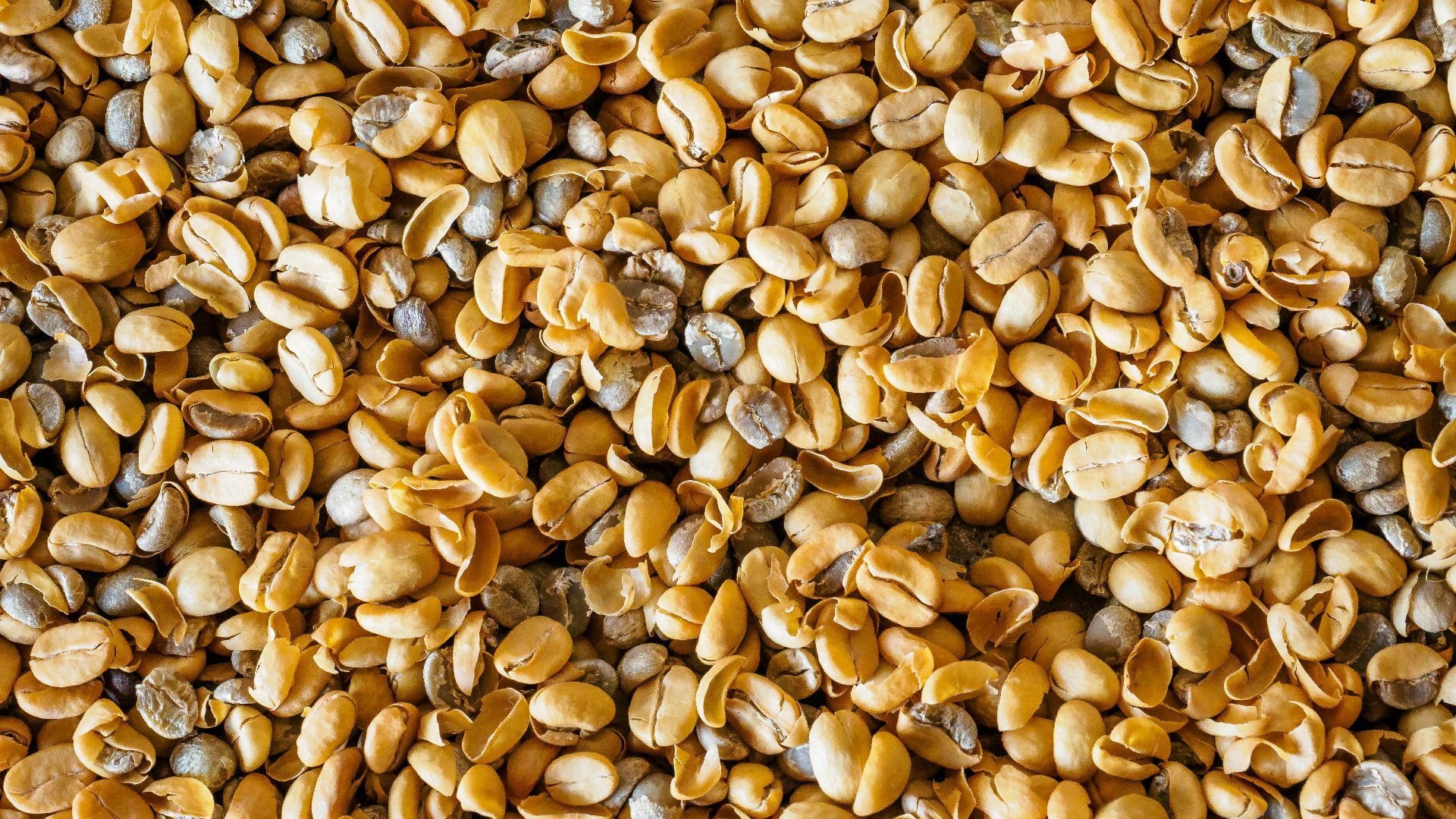 6. Pois cassés