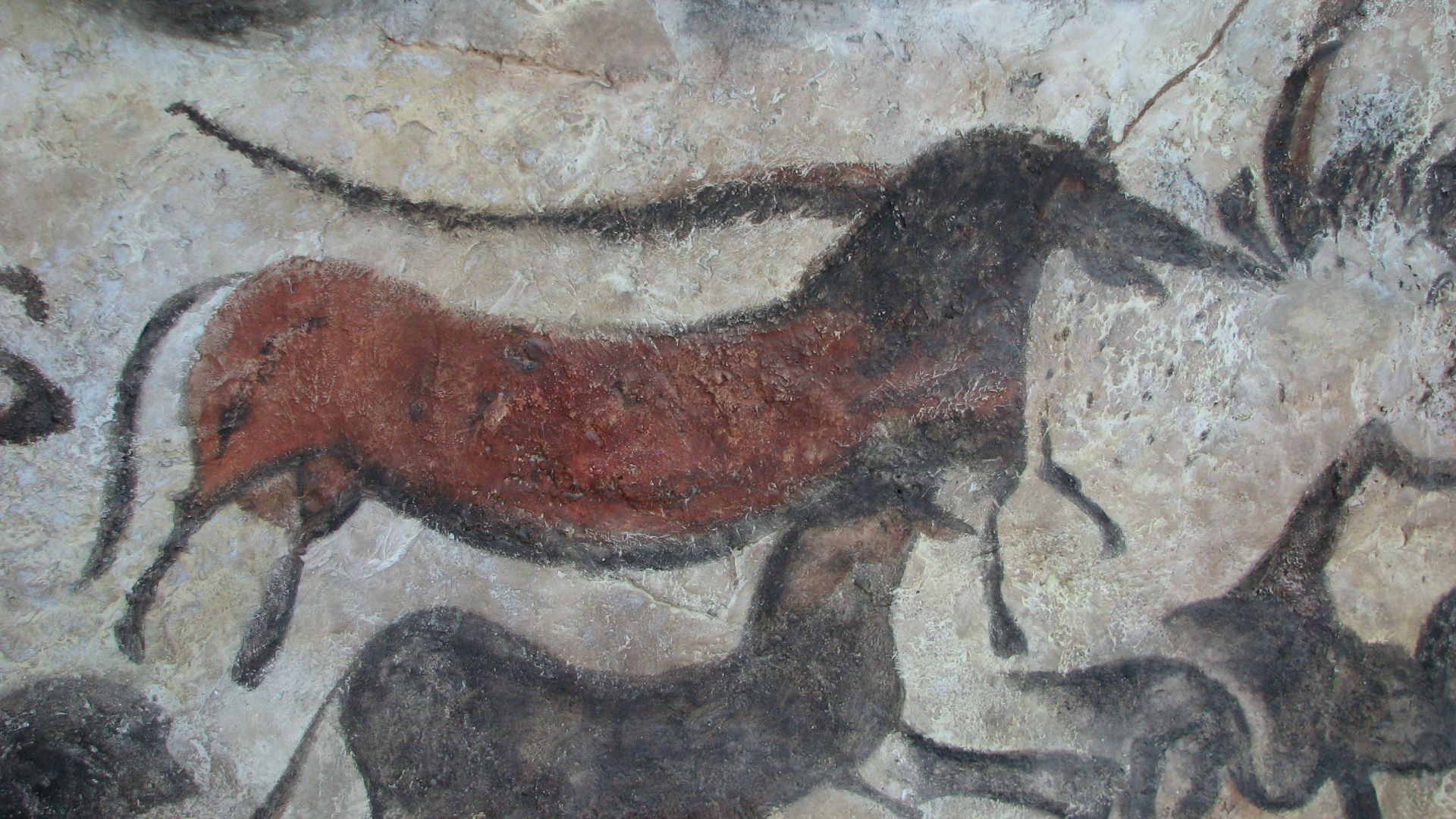 8. Les peintures rupestres de Lascaux