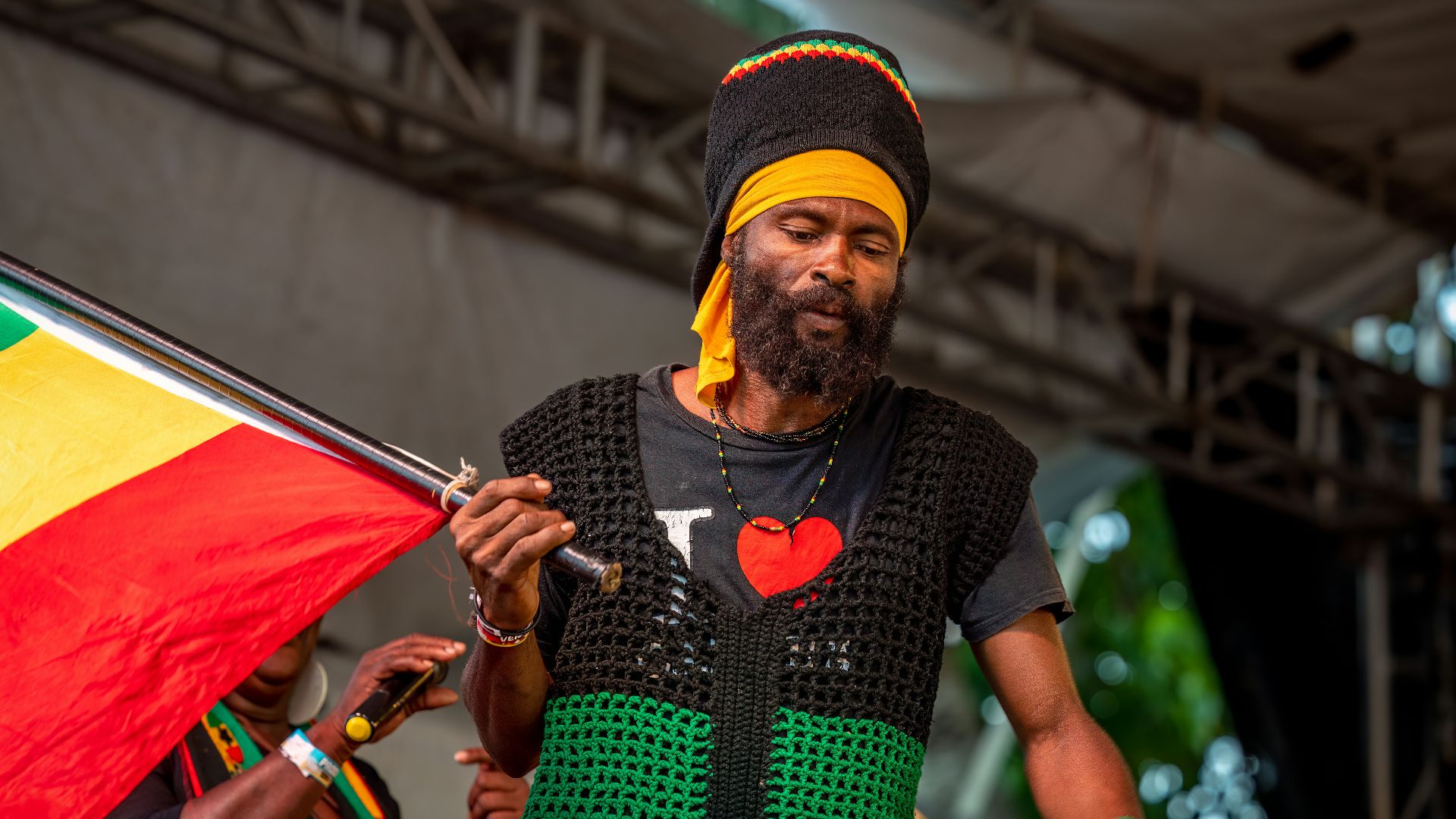 18. Jamaïque : noir, vert et or