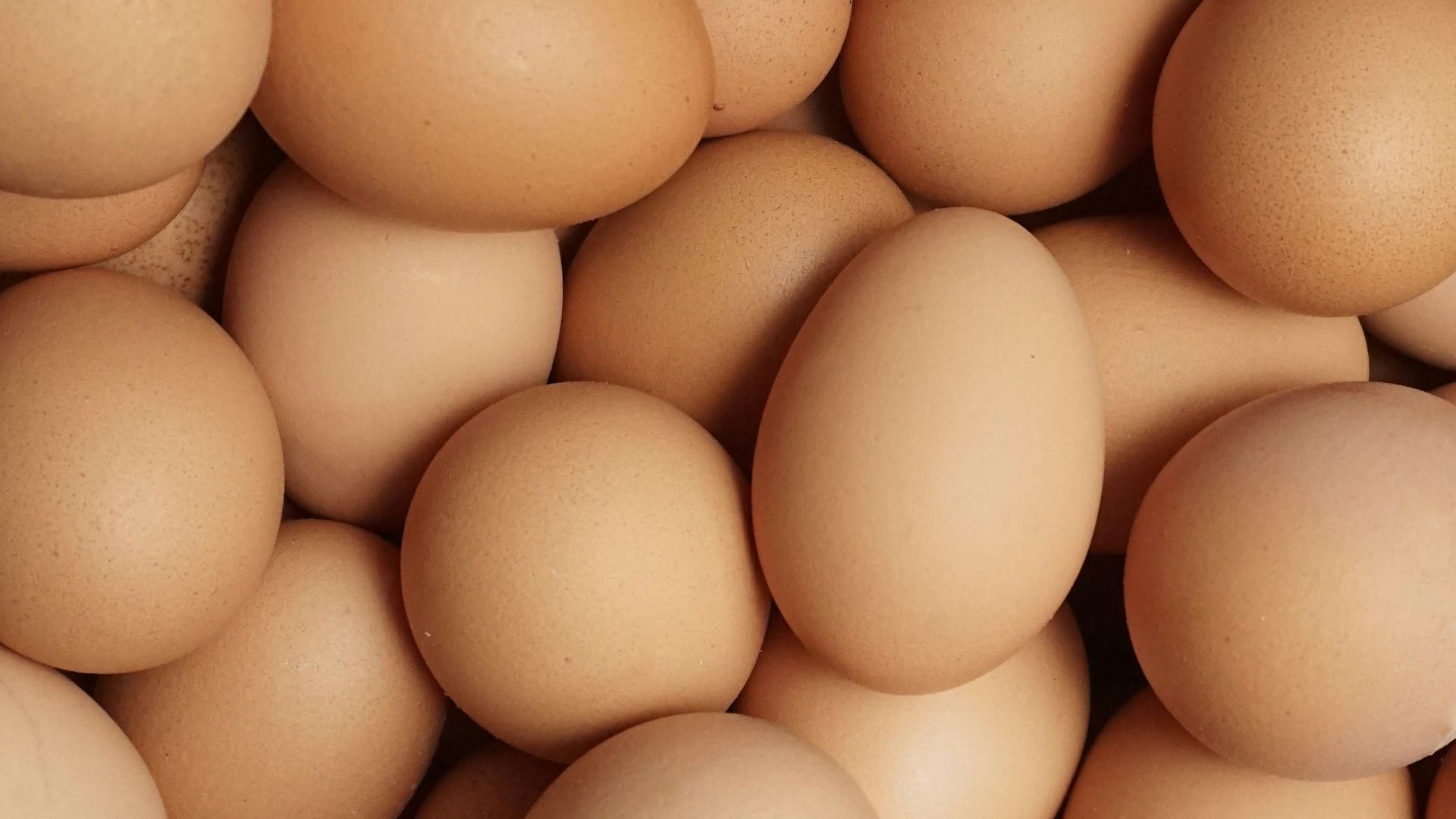 10. Intégrez des œufs entiers à votre petit-déjeuner quotidien