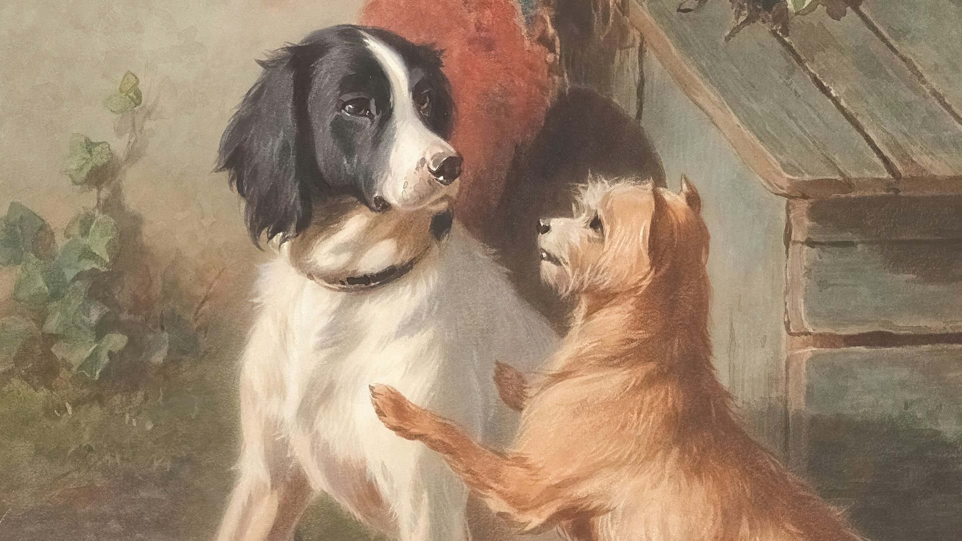 2. Les chiens