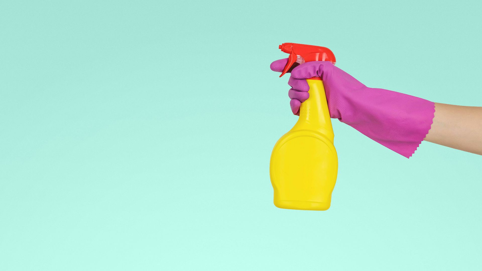 12. Nettoyant enzymatique