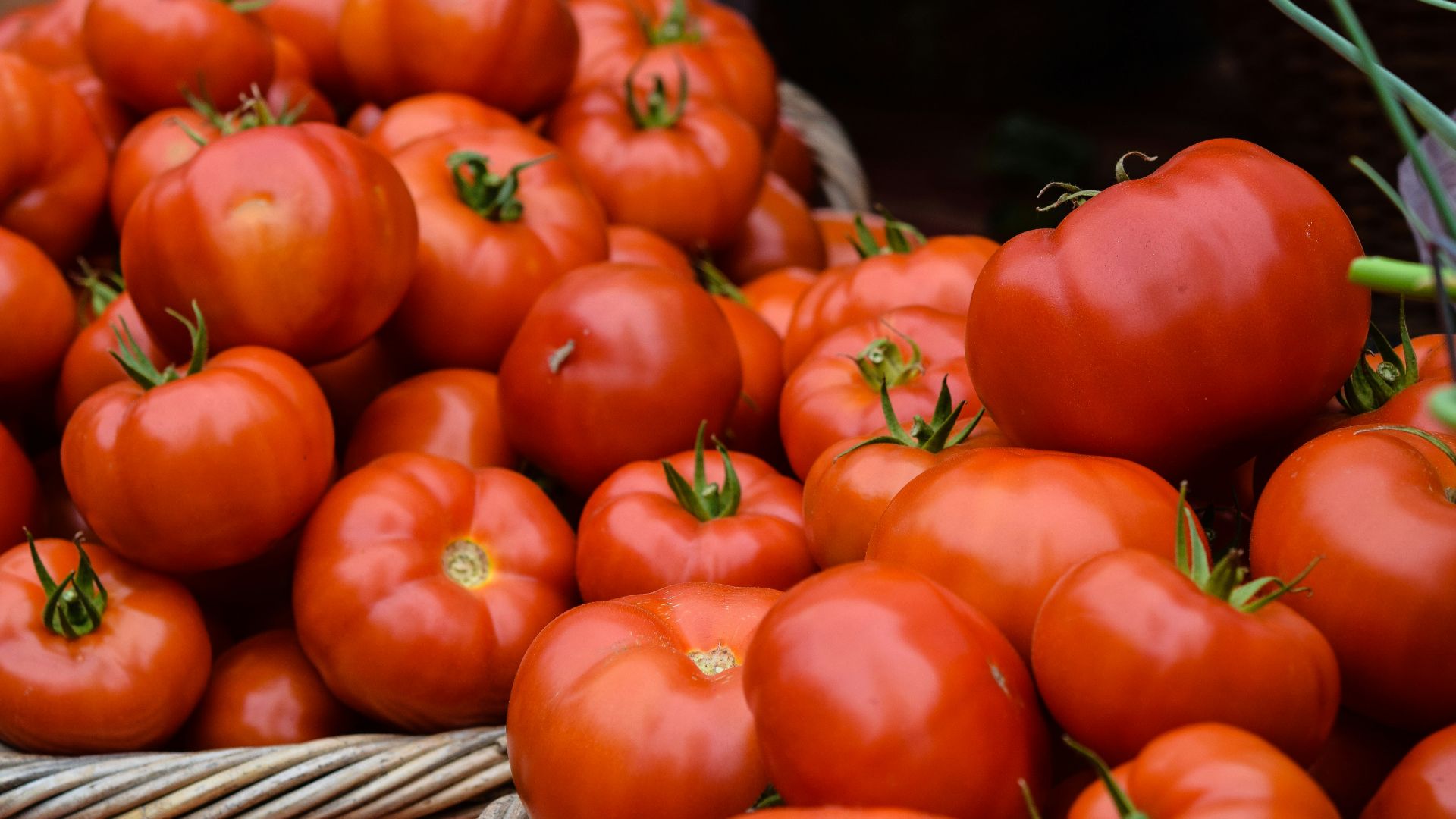 7. Tomates