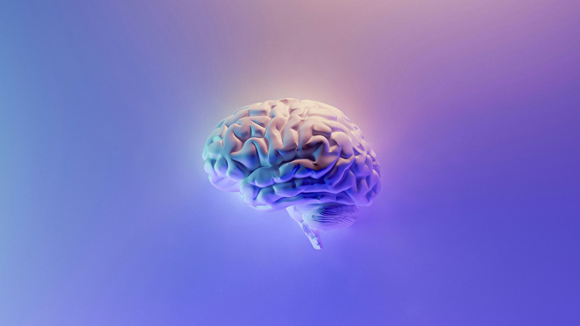19. Votre cerveau pourrait commencer à anticiper la récompense