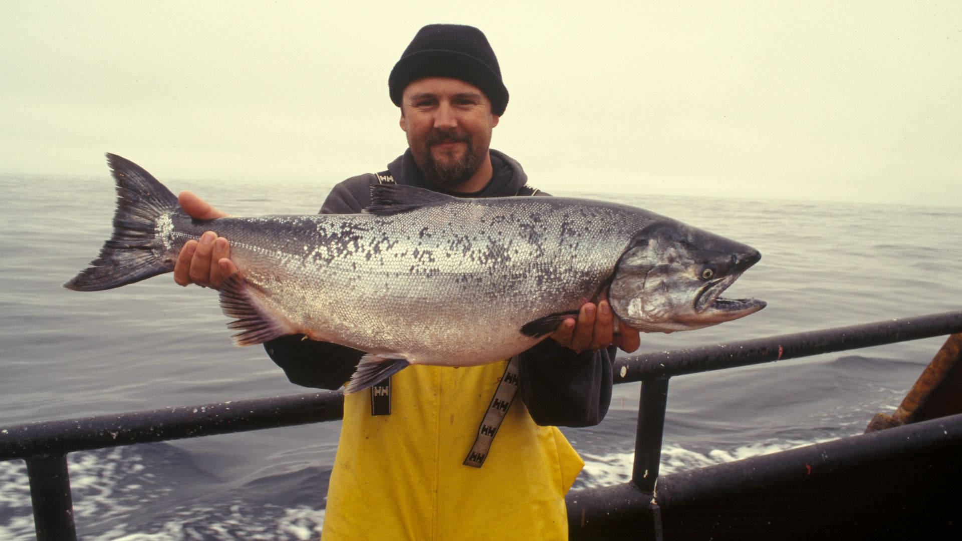 4. Saumon sauvage