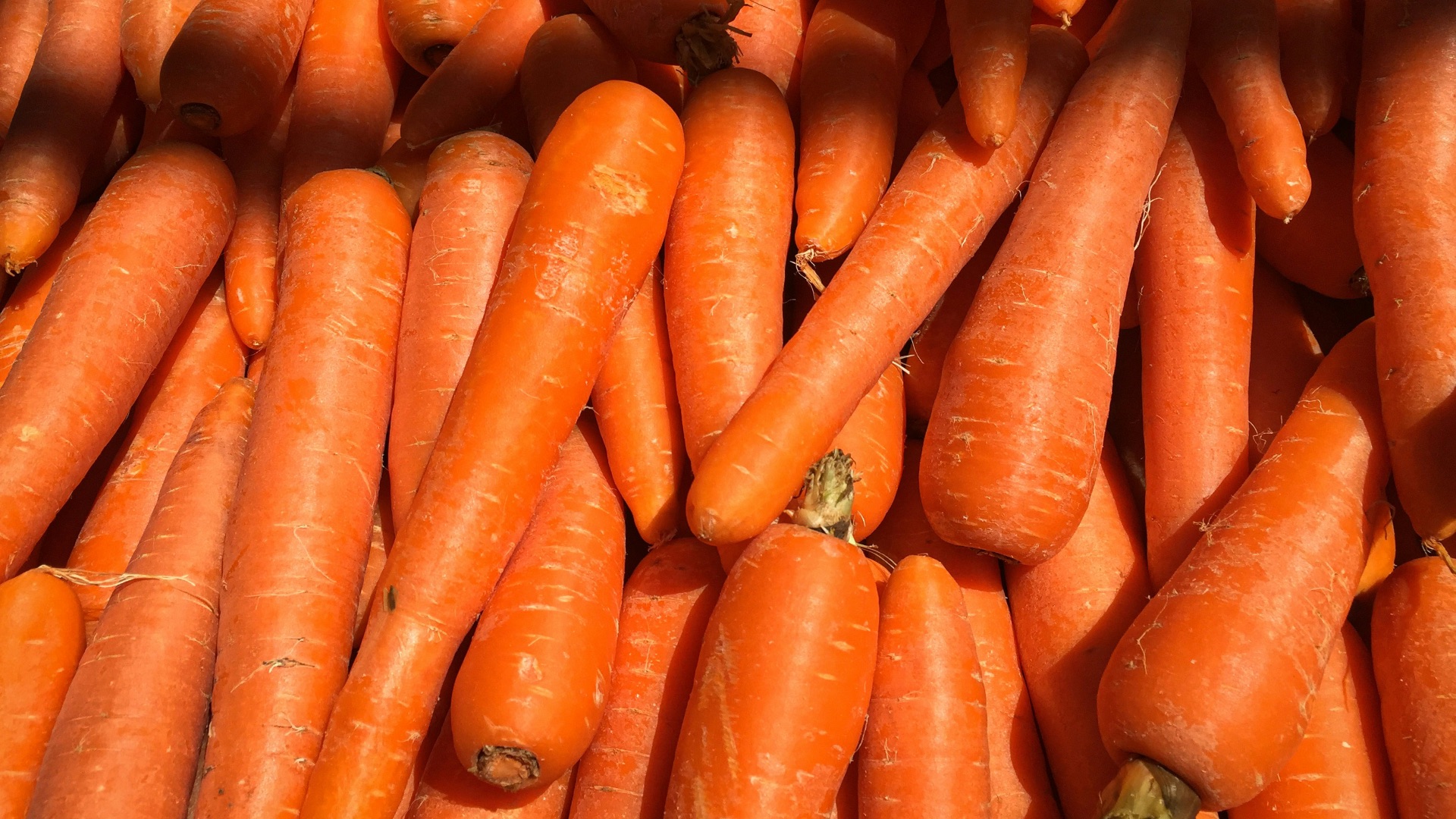 7. Carottes
