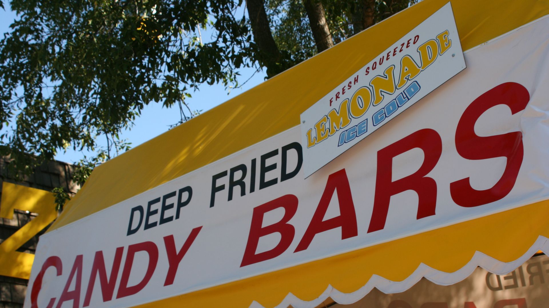 18. Barres chocolatées frites