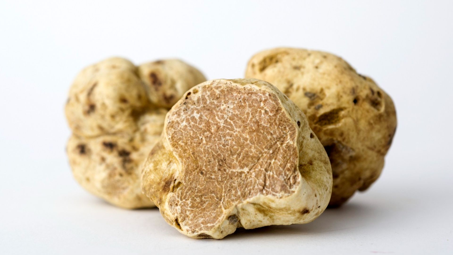 5. Truffes blanches fraîches
