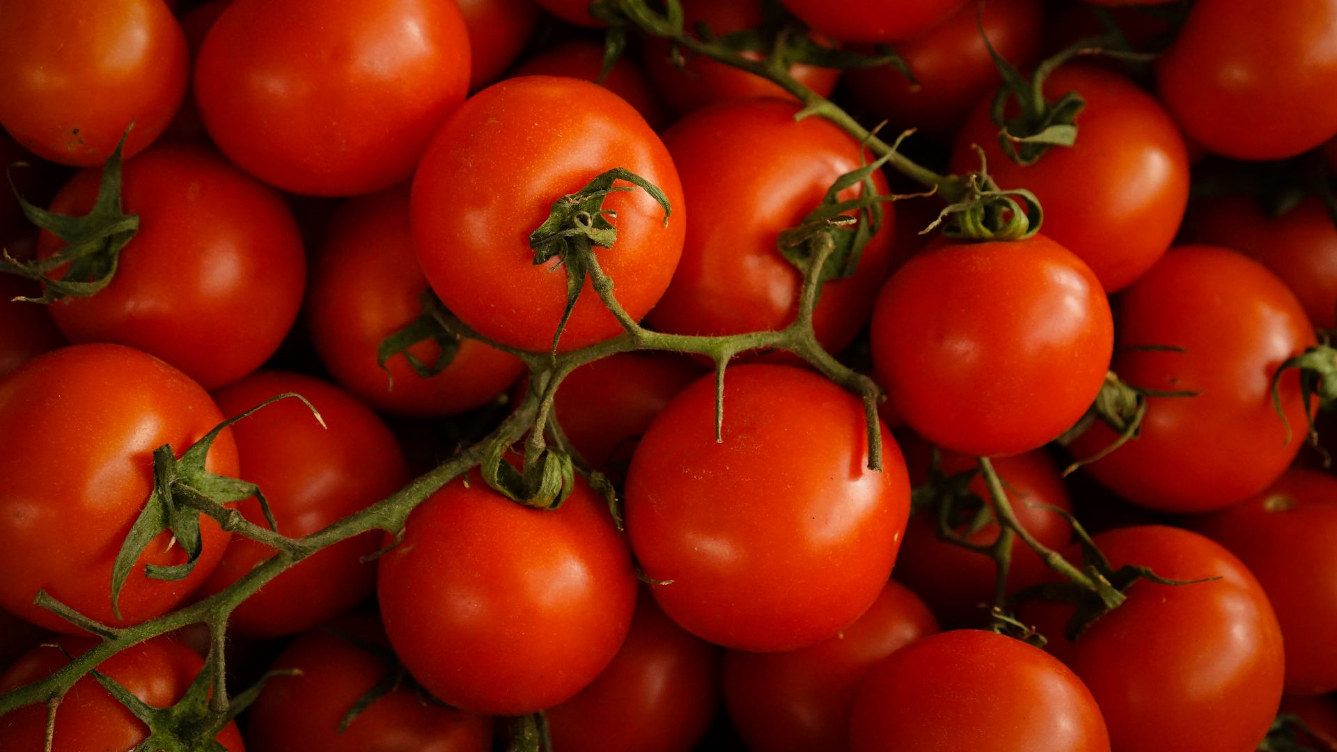 10. Les tomates