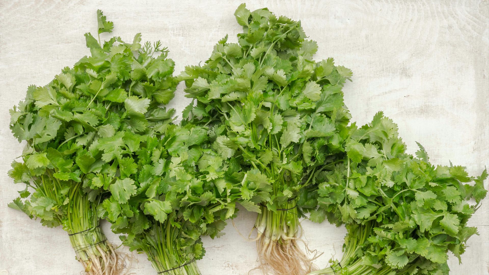 20 aliments qui divisent et sur lesquels on n’arrive toujours pas à se mettre d’accord