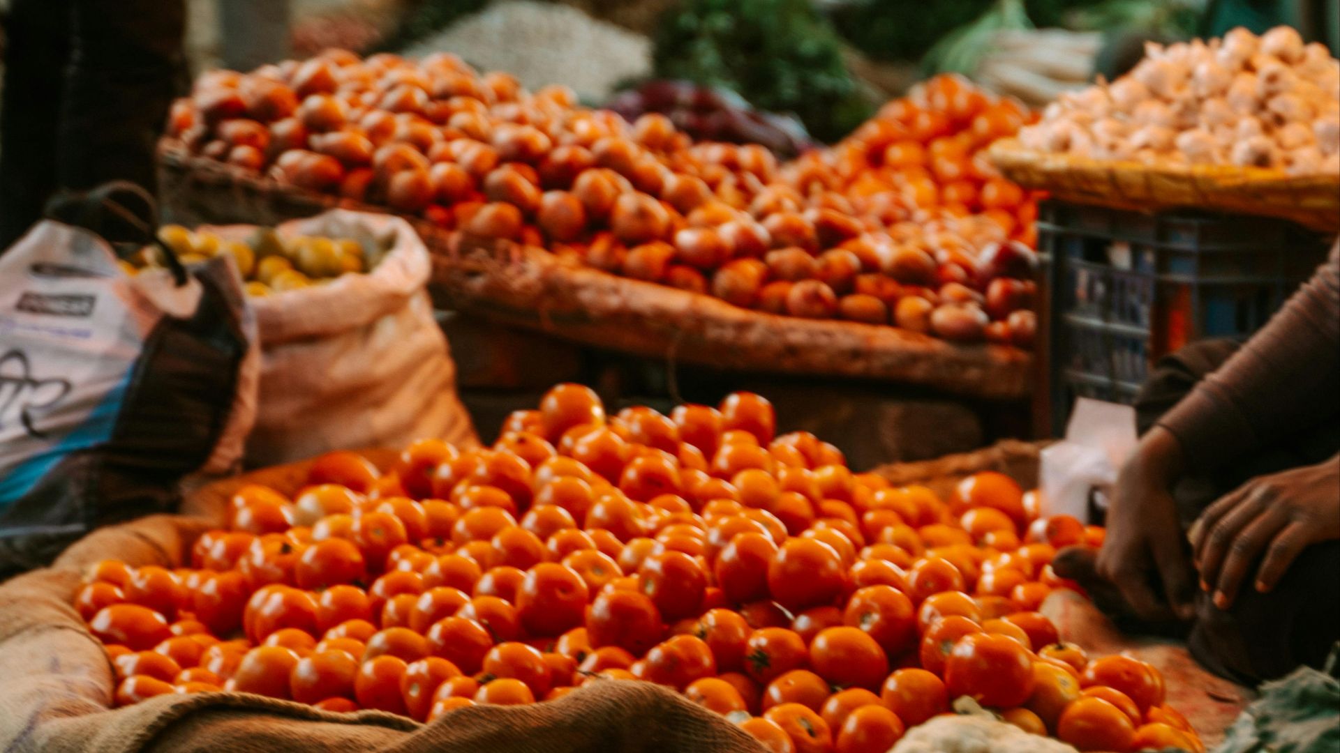 9. Suminter India Organics, Inde