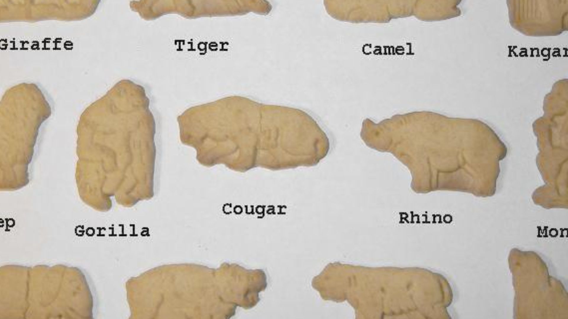6. Les biscuits « Animals Crackers » de Barnum