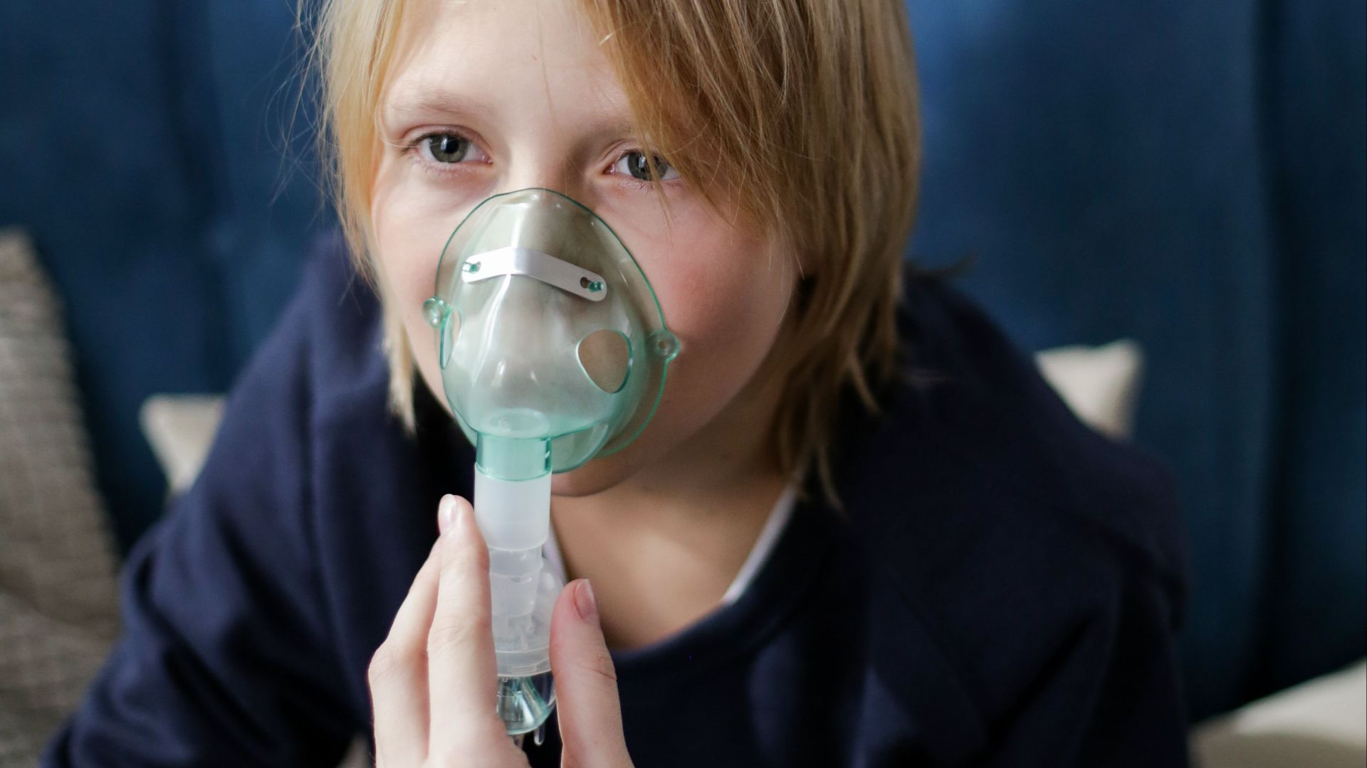 18. Ils pourraient réduire le risque d'asthme chez l'enfant