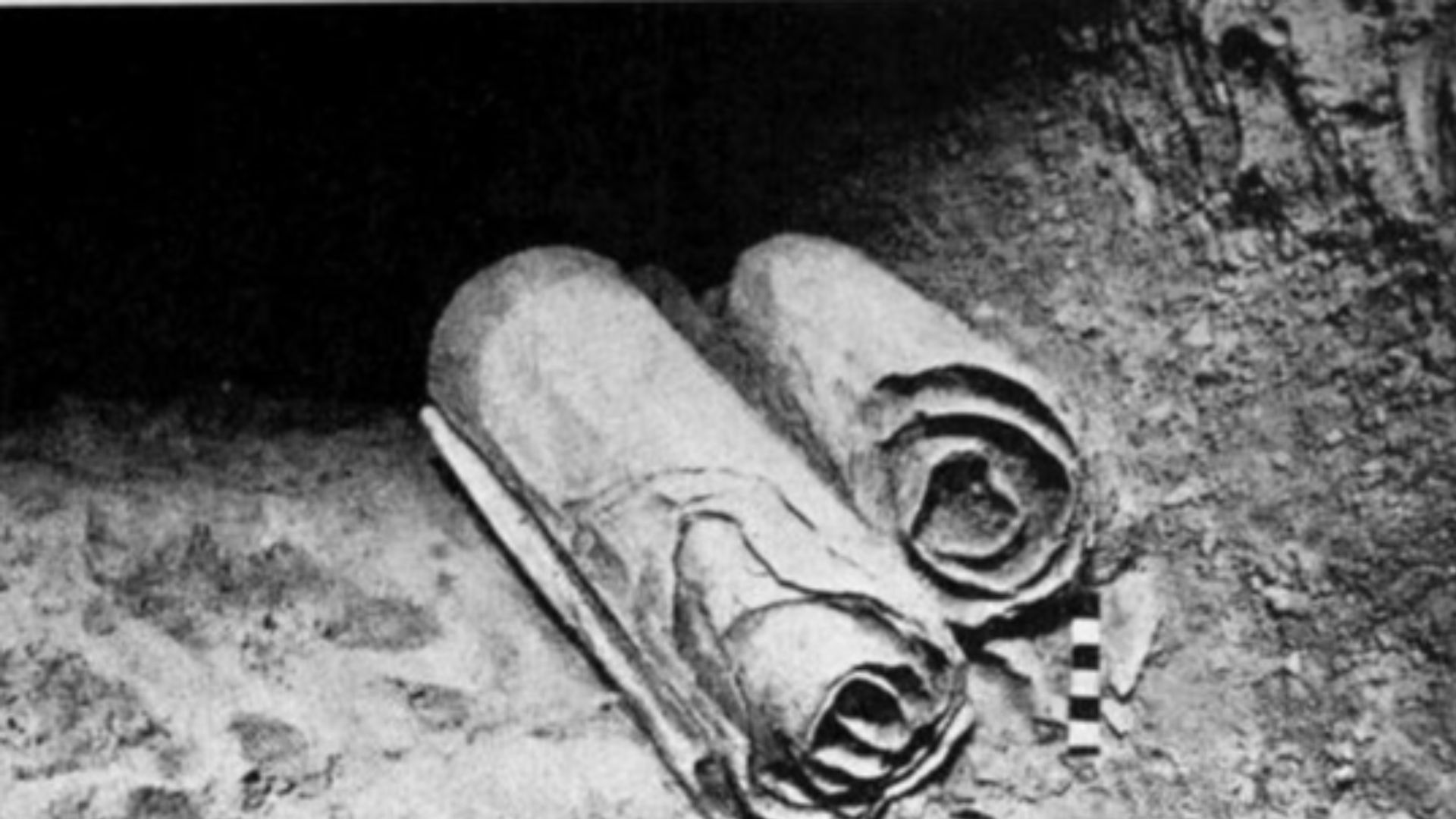 20 découvertes fortuites incroyables qui ont changé le cours de l’histoire