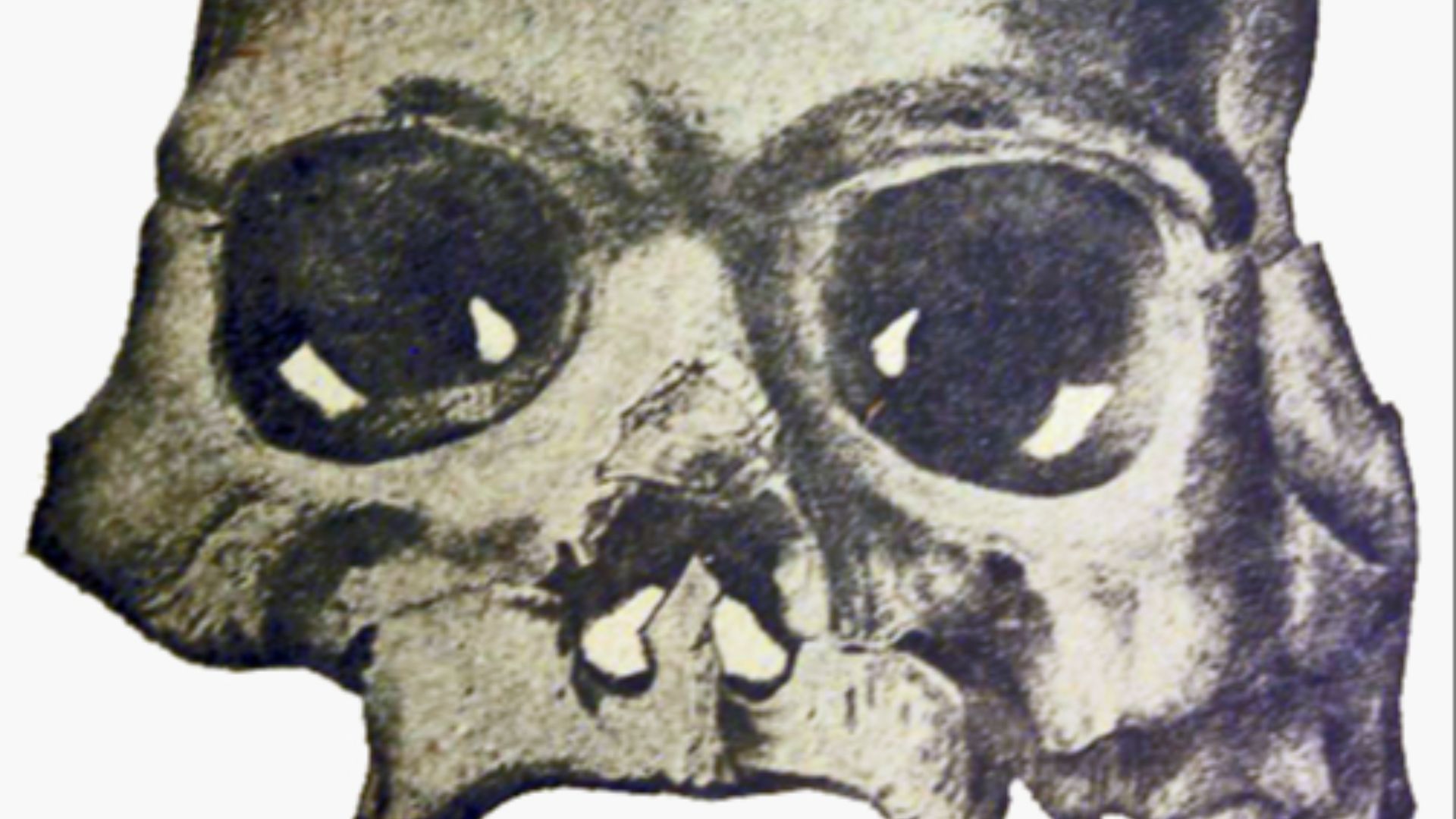 3. Le crâne de Calaveras