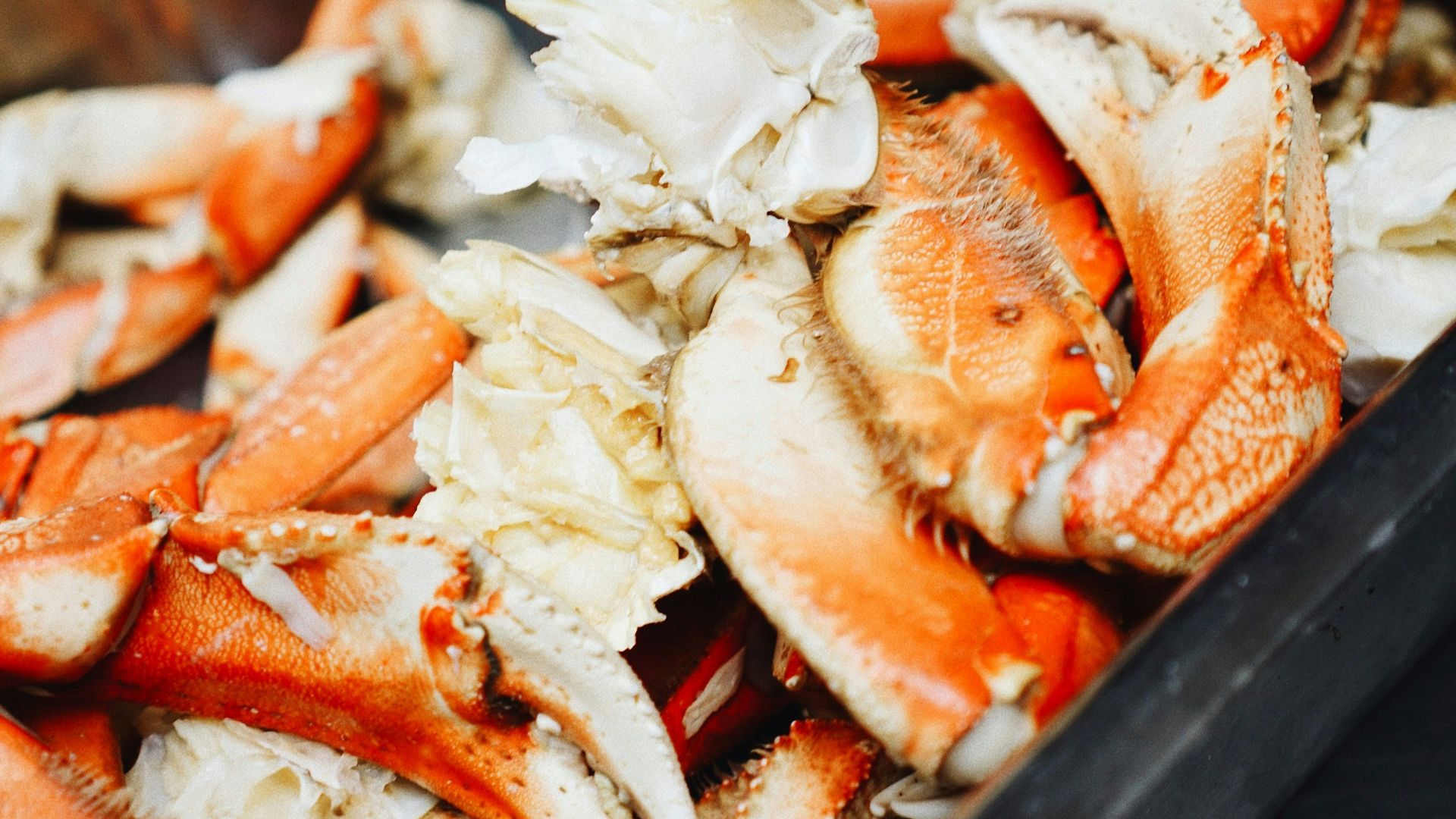 17. Anneaux de mousse aux fruits de mer