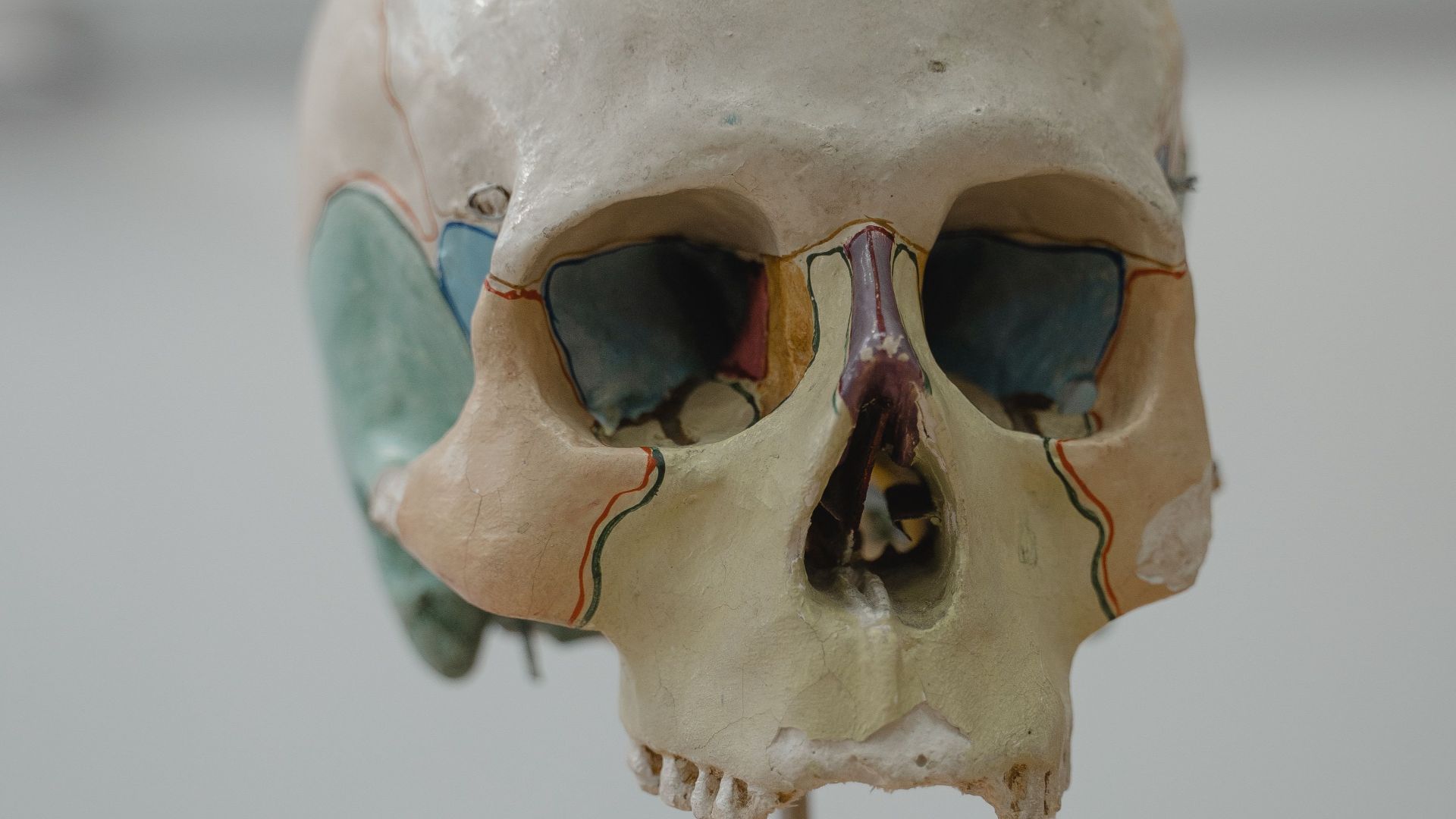 14. Lire « Skull Bumps »