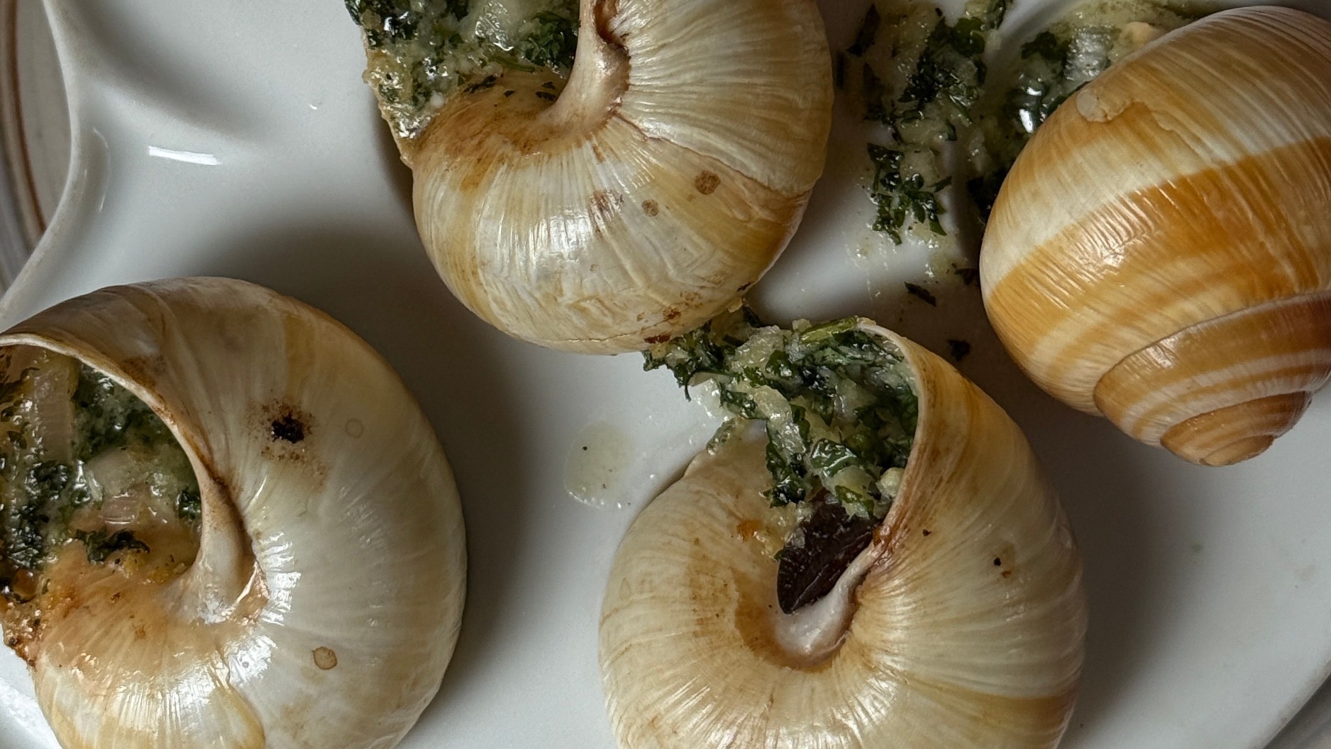 6. Les escargots