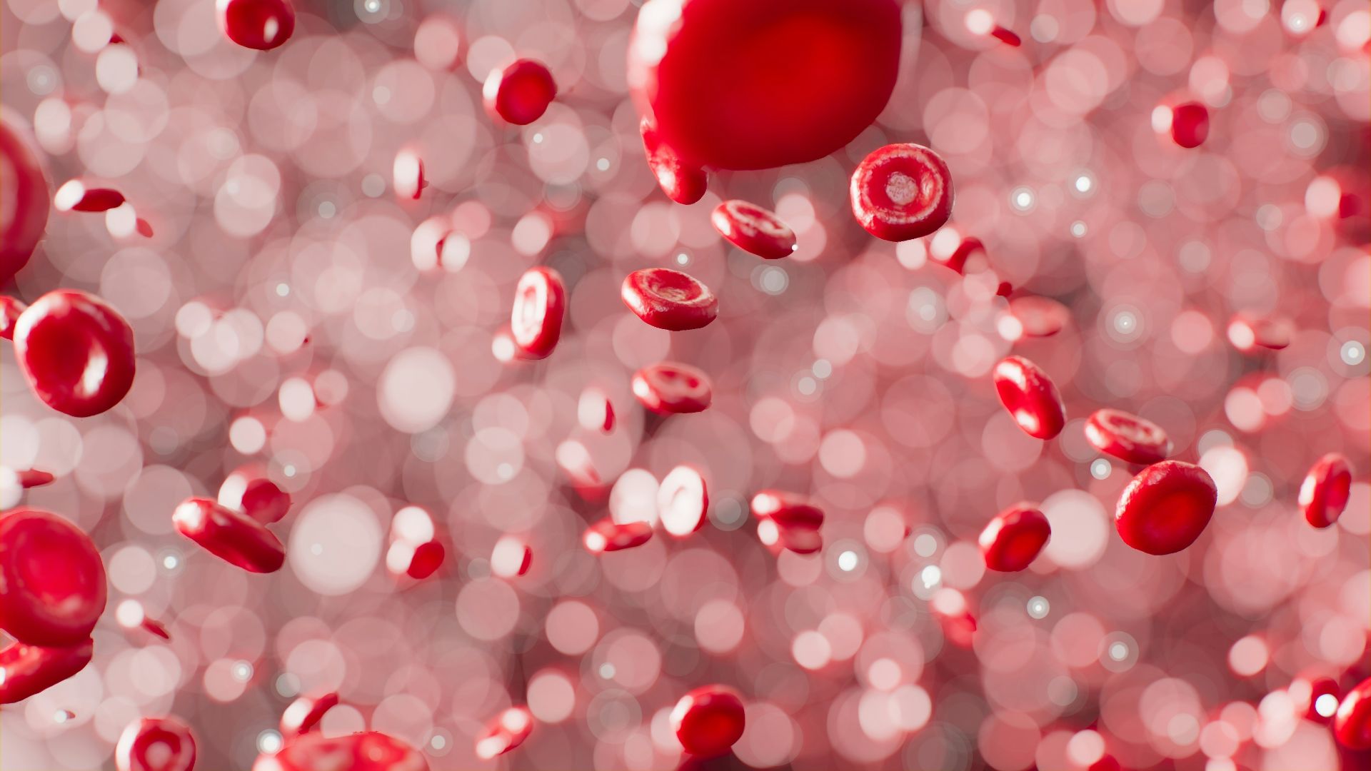10. Il favorise la production de globules rouges