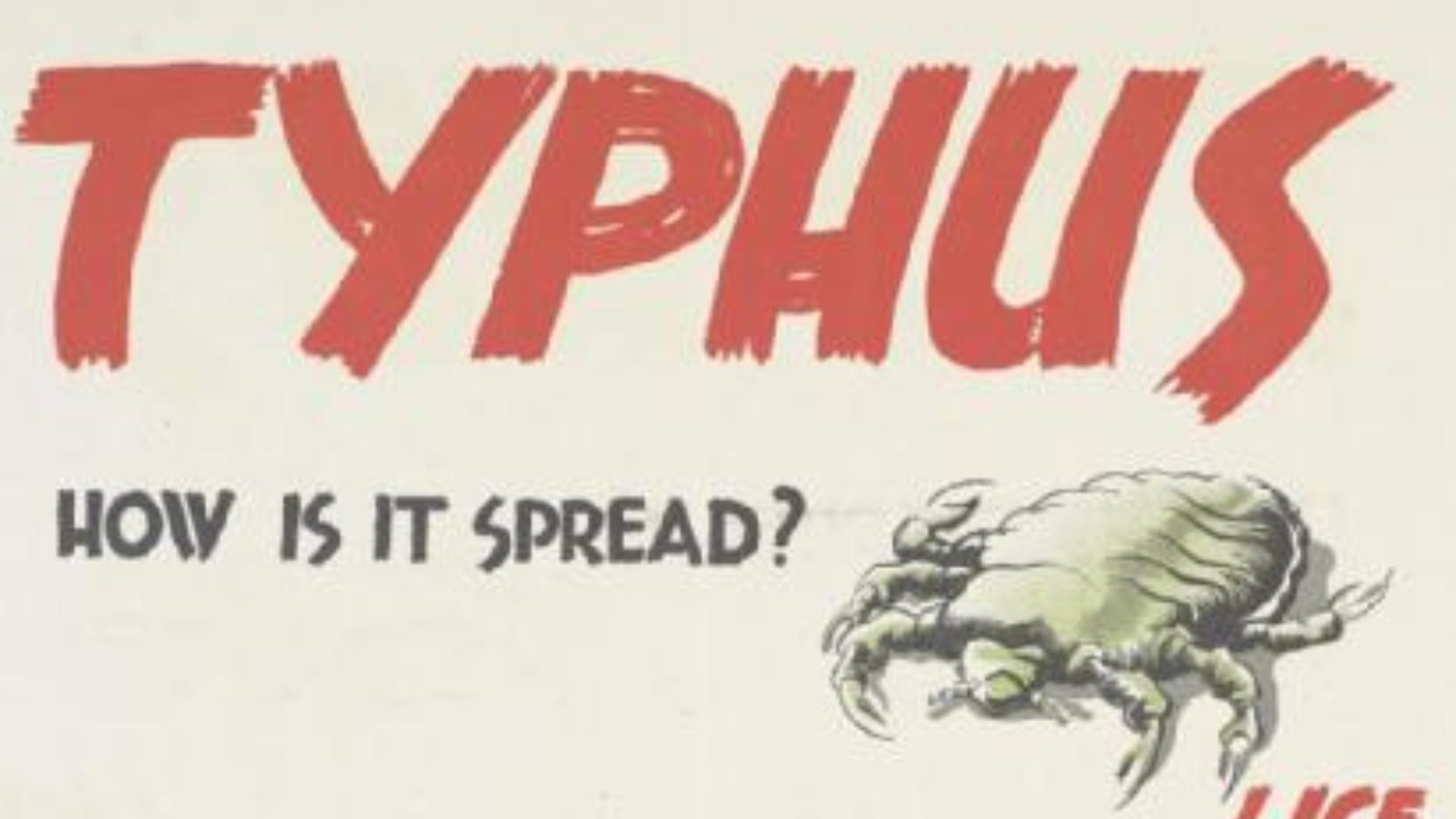 12. Le pou humain et le typhus pendant la Première Guerre mondiale