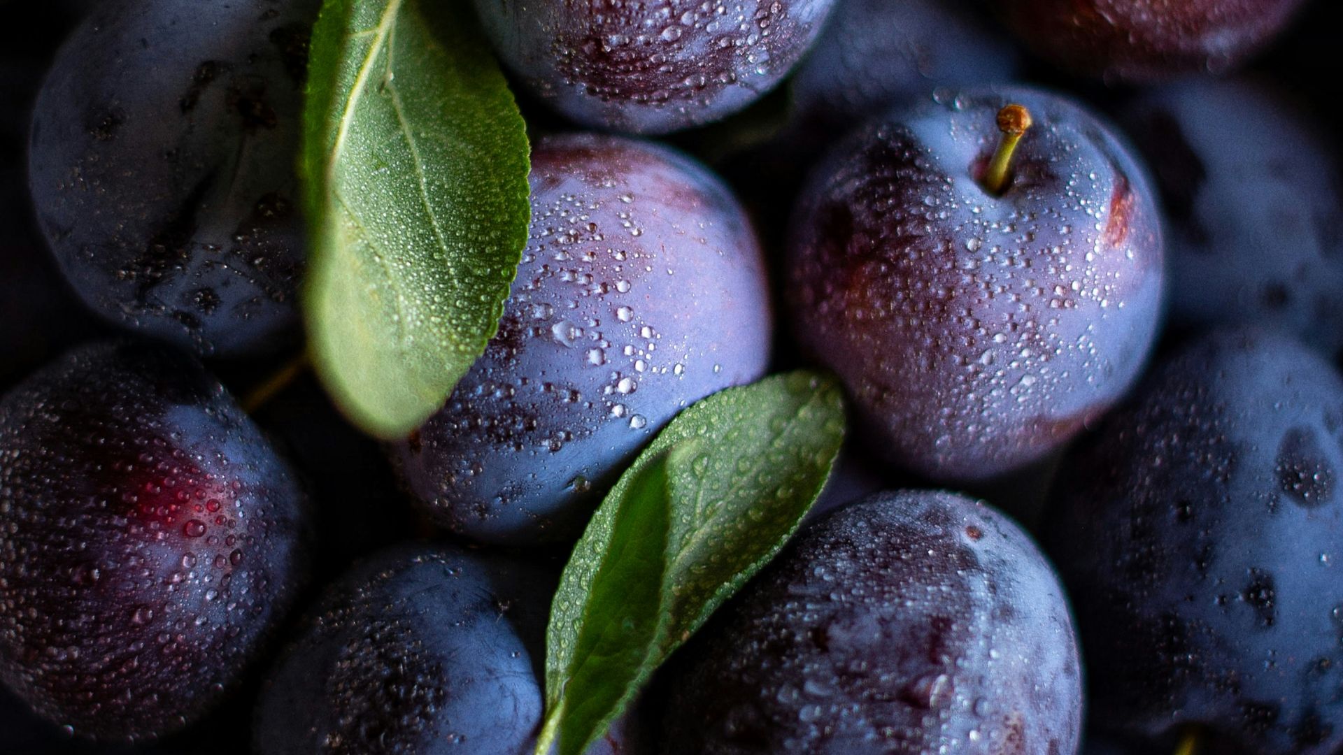 16. Les prunes