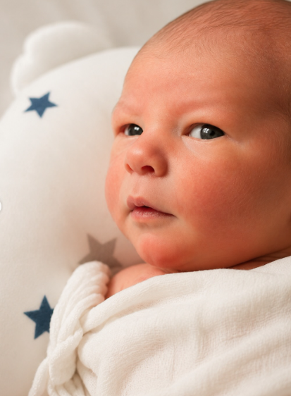 Le petit Bradley