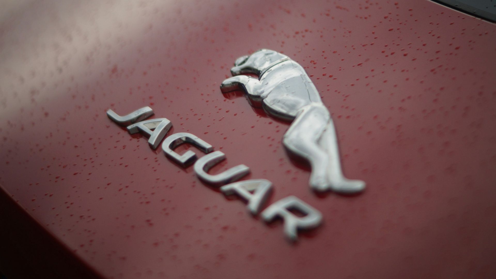 1. Jaguar