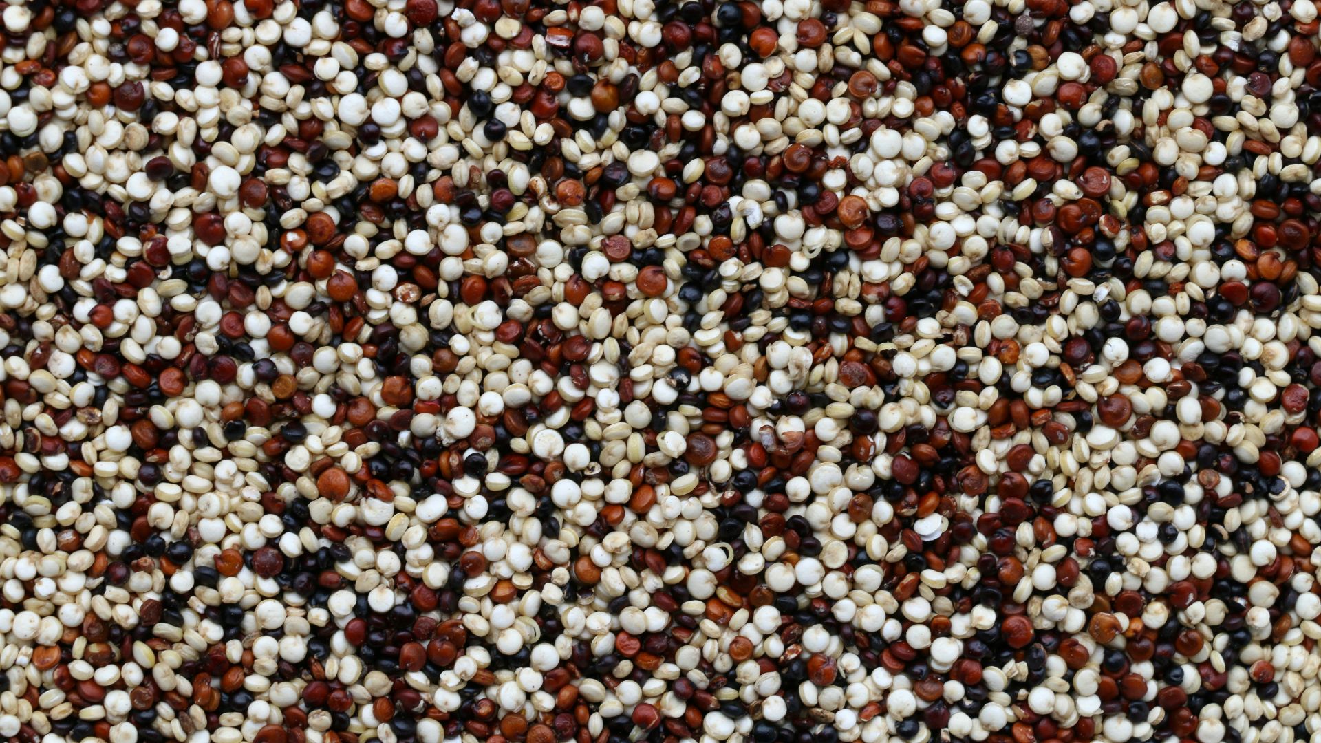 15. Quinoa