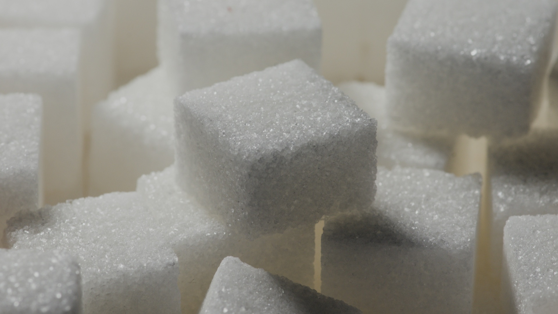 11. Le sucre