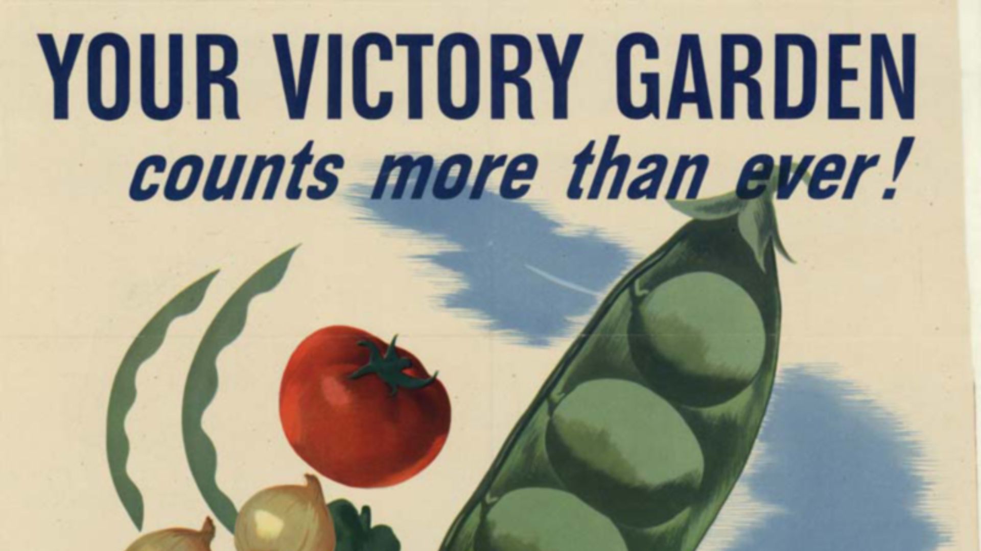 10. Le « Victory Garden »