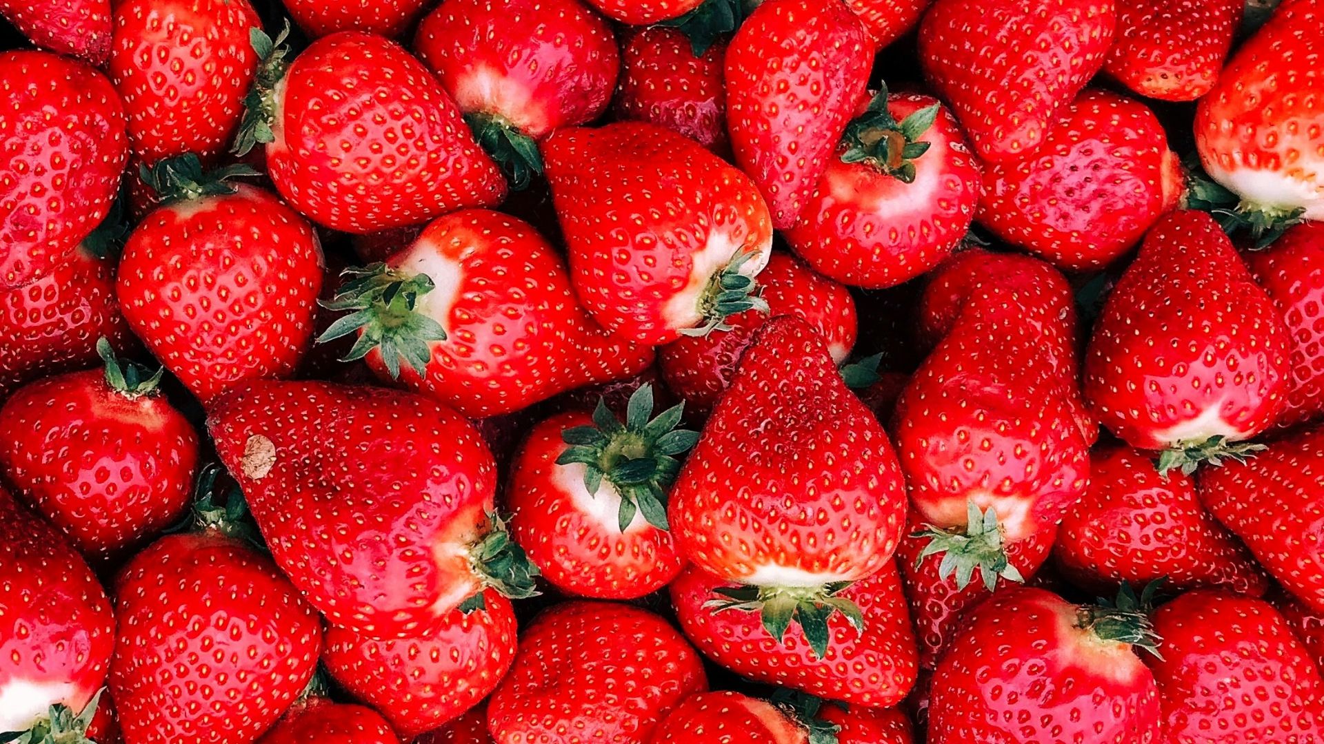 19. Fraises fraîches