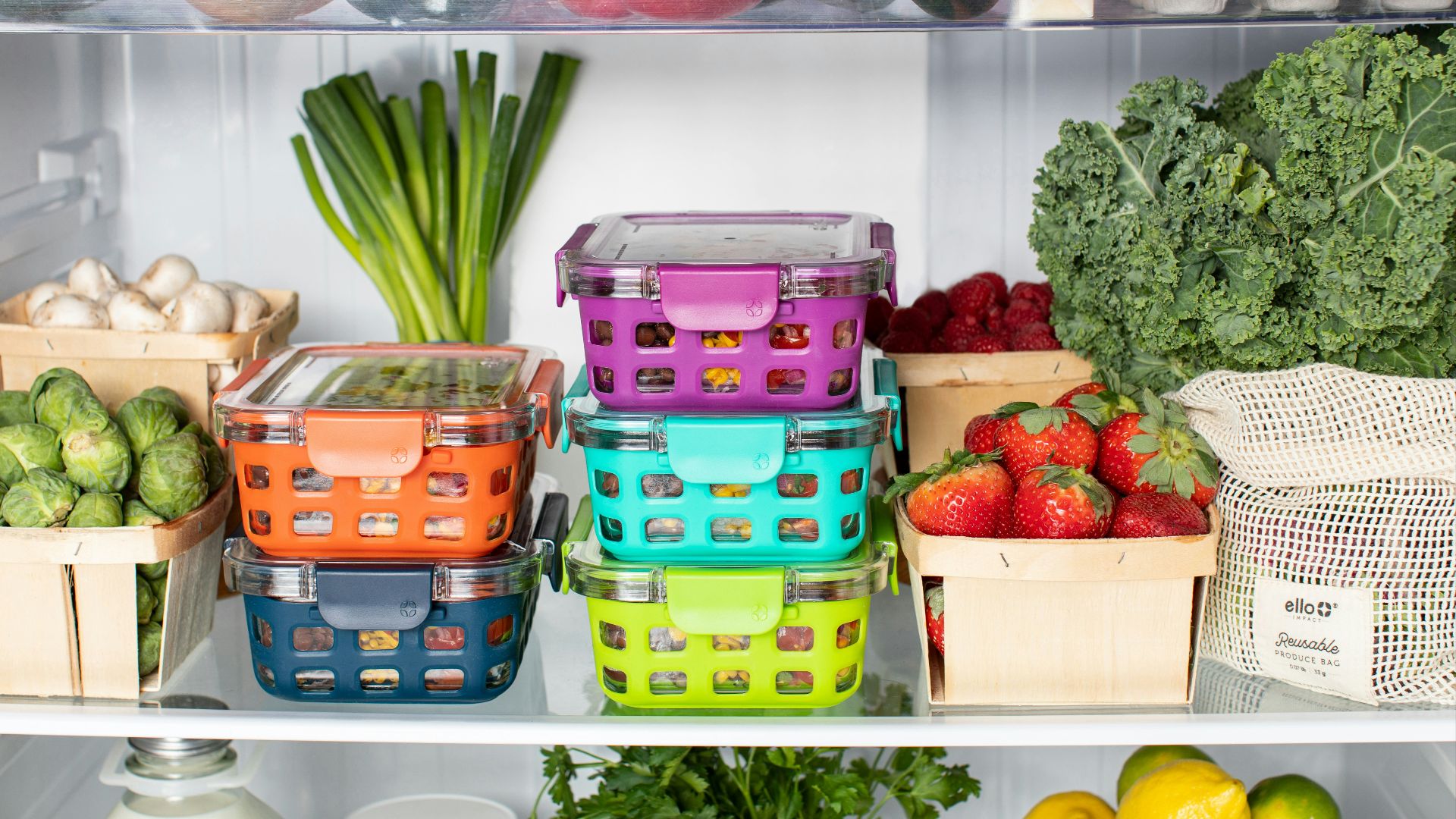 16. La conservation des aliments