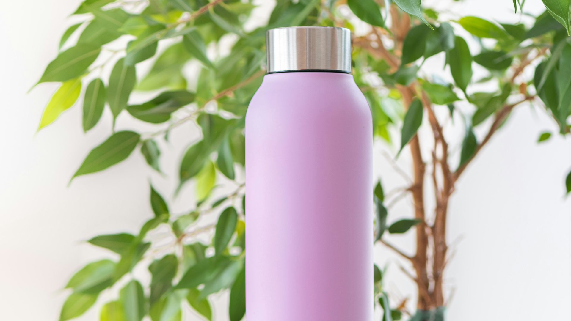 3. Buvez de l'eau avant le café