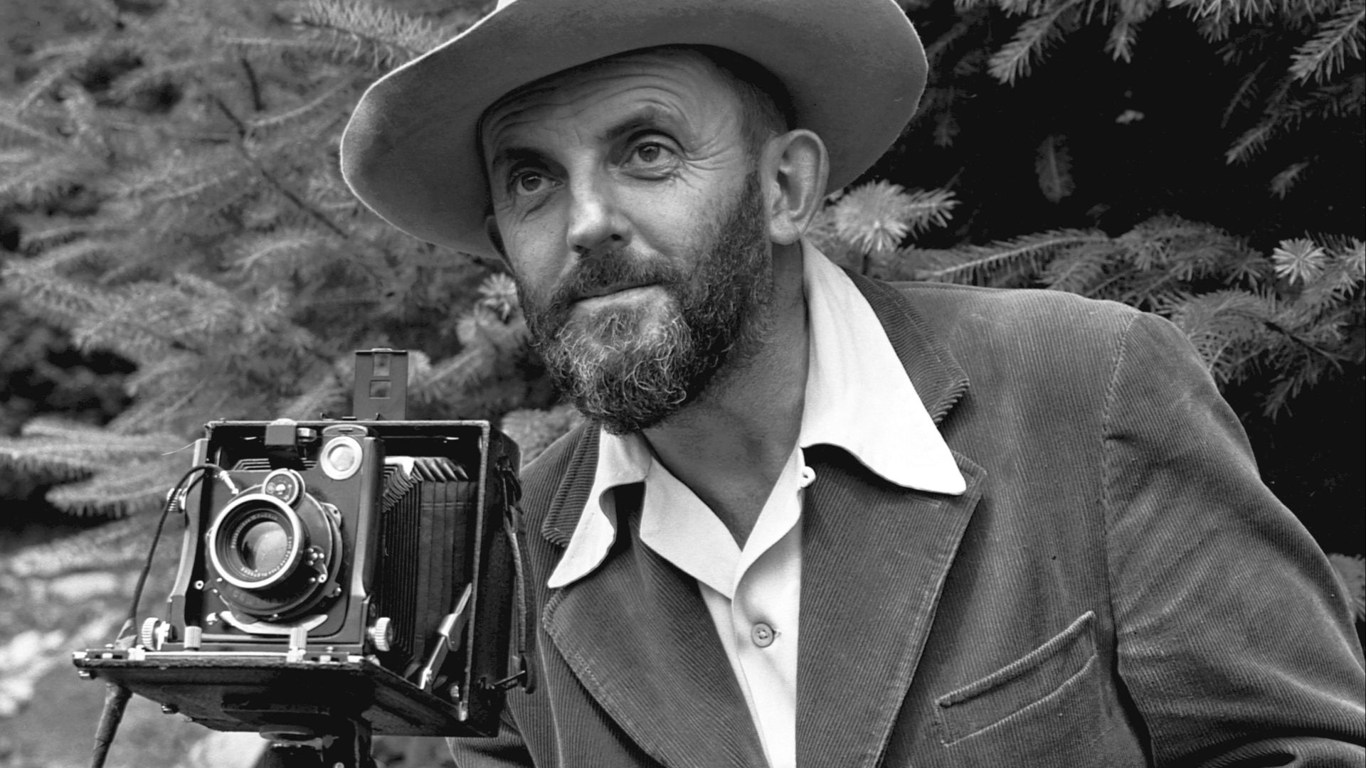 5. Les négatifs d'Ansel Adams : controversés, mais époustouflants