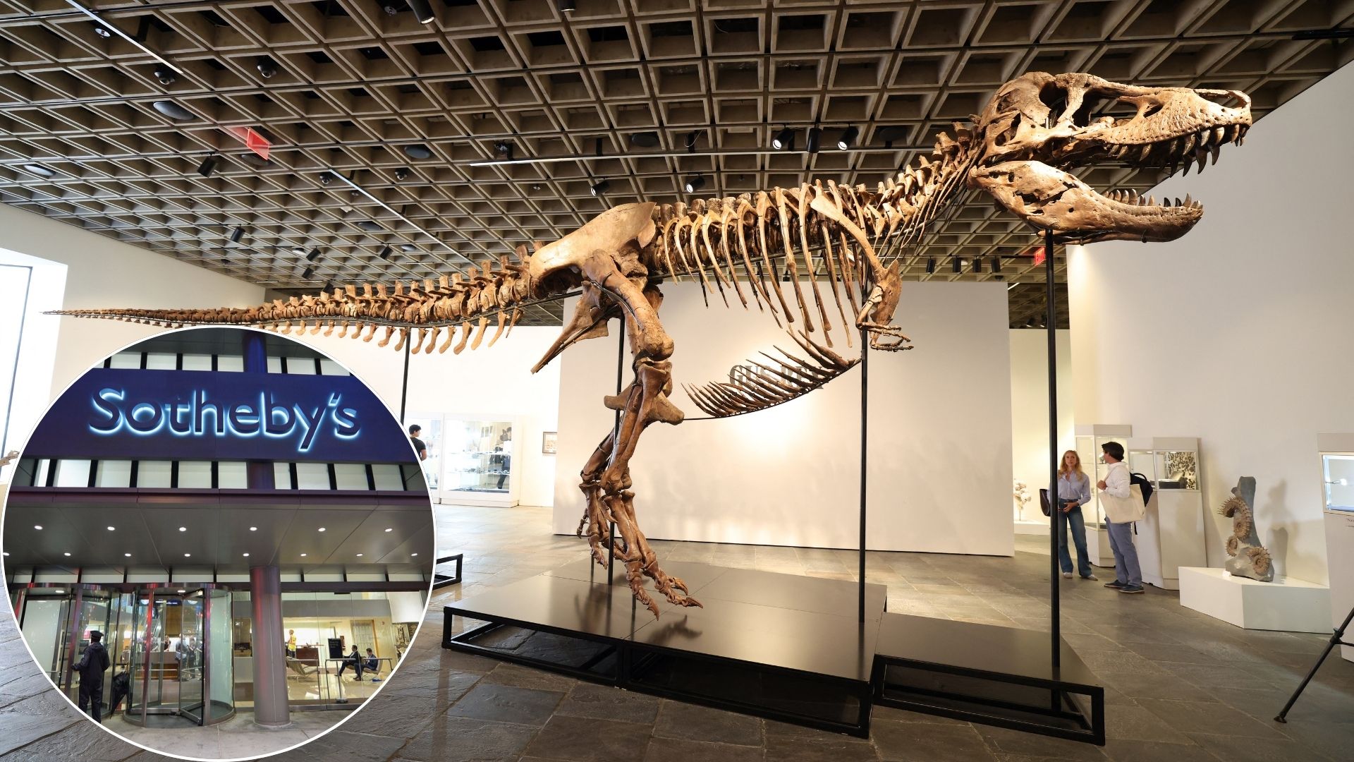 T. Rex «Gus» Shatters Auction Records With Historic $50.1 Million Sale