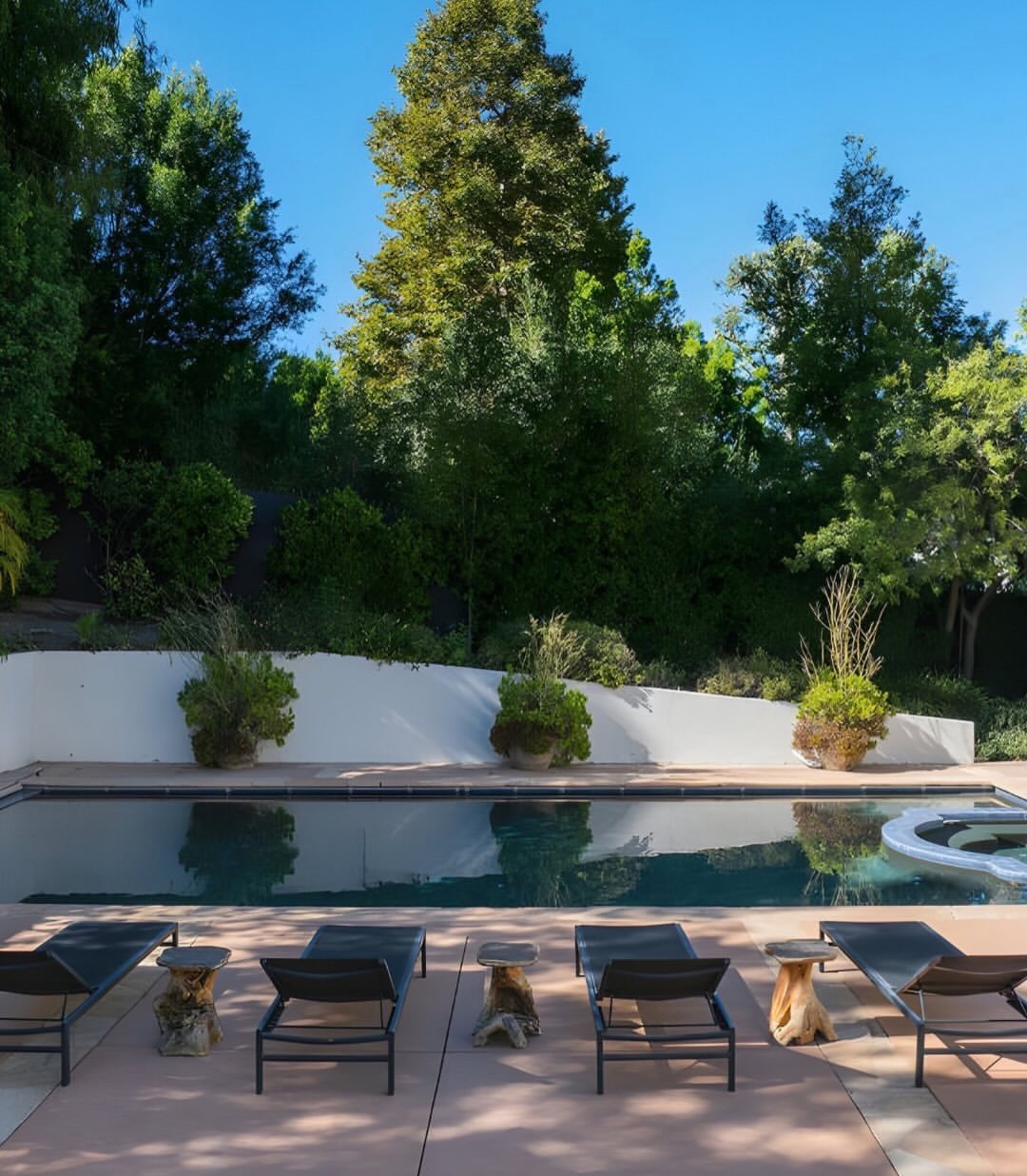 La piscine et les espaces détente