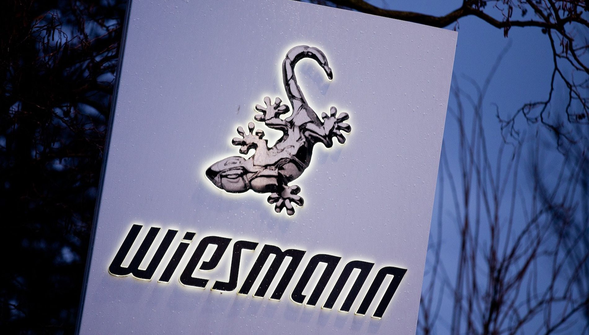 Wiesmann