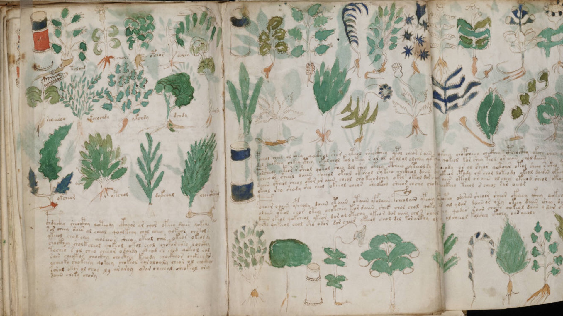 2. Le manuscrit de Voynich