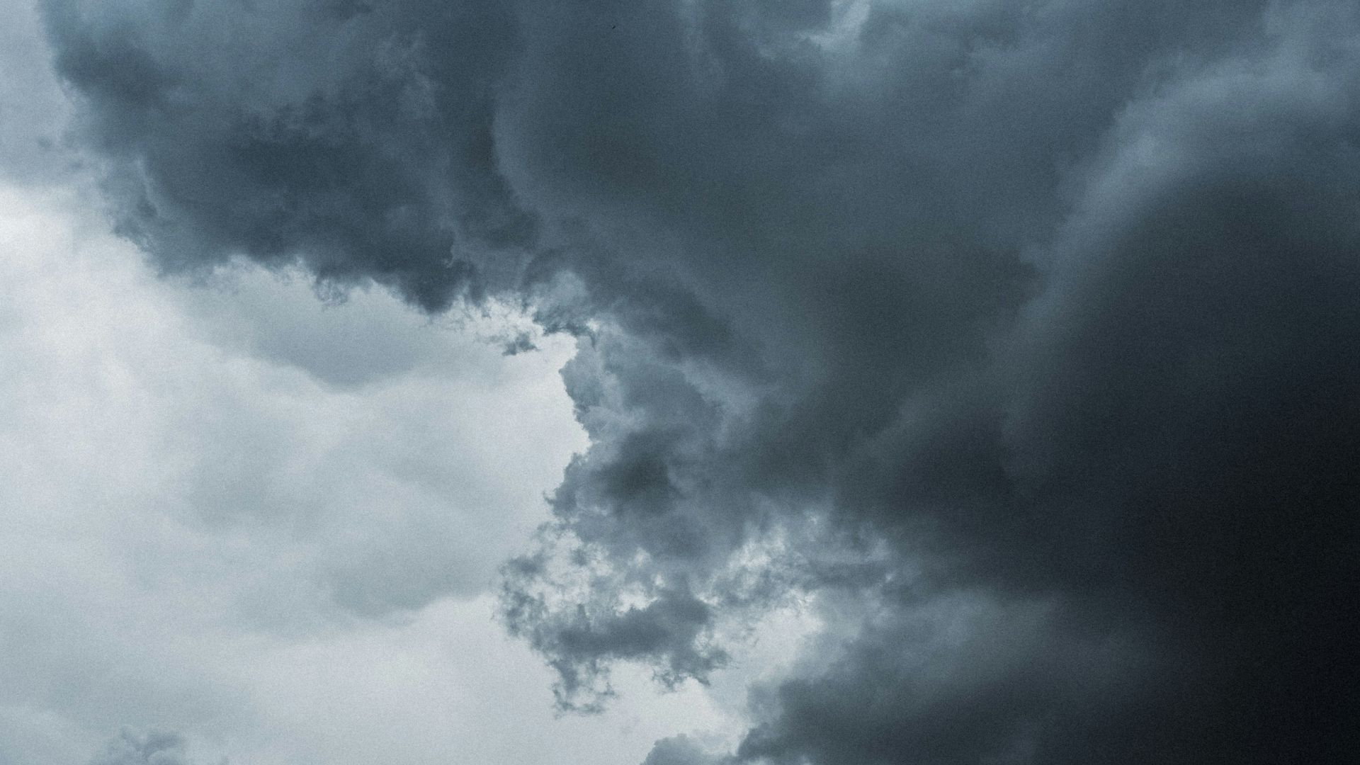1. Petrichor