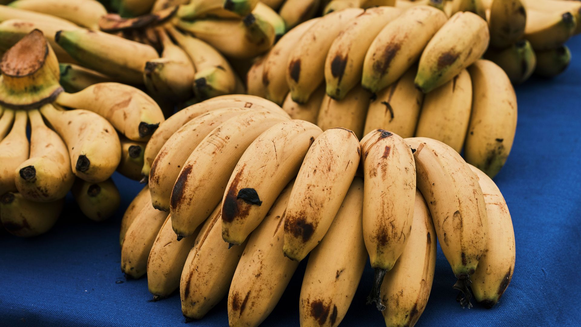 3. Choisissez des bananes à différents stades de maturité