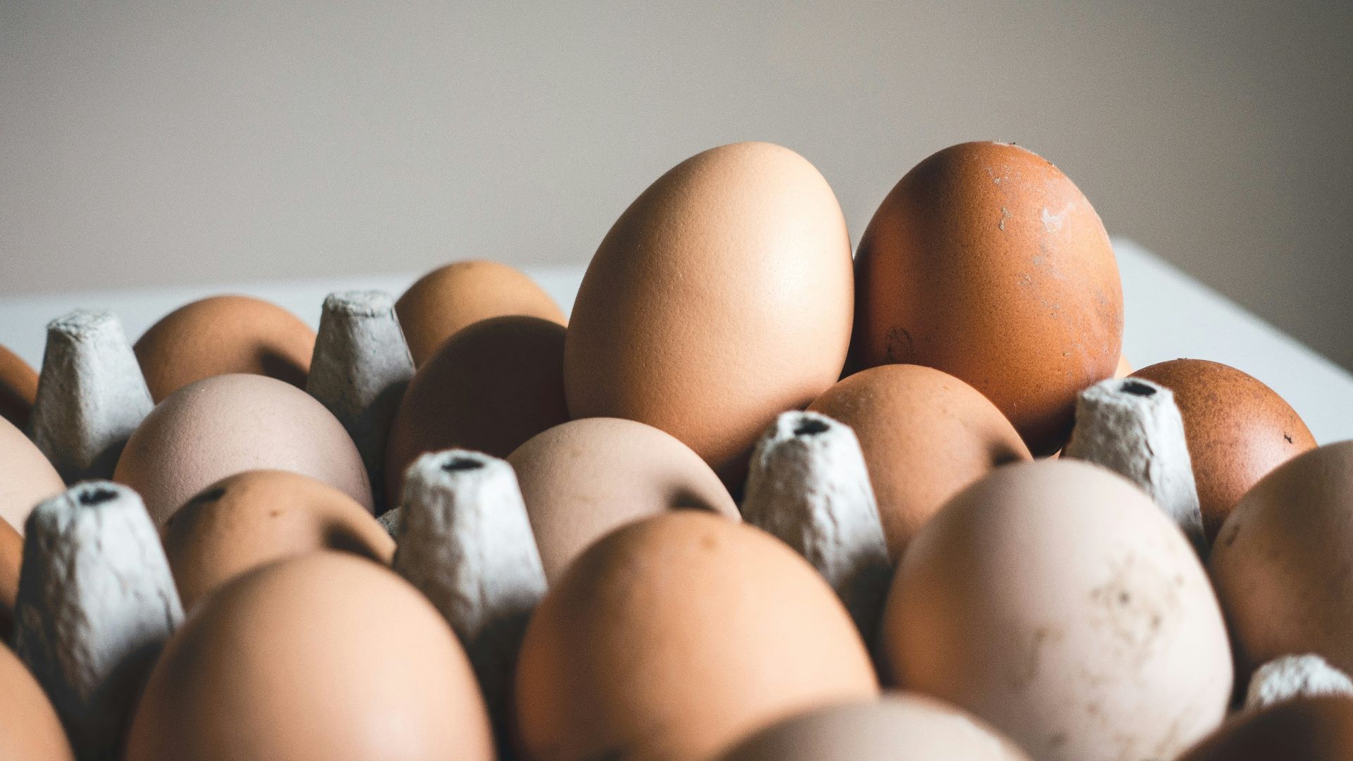 5. Votre apport en protéines