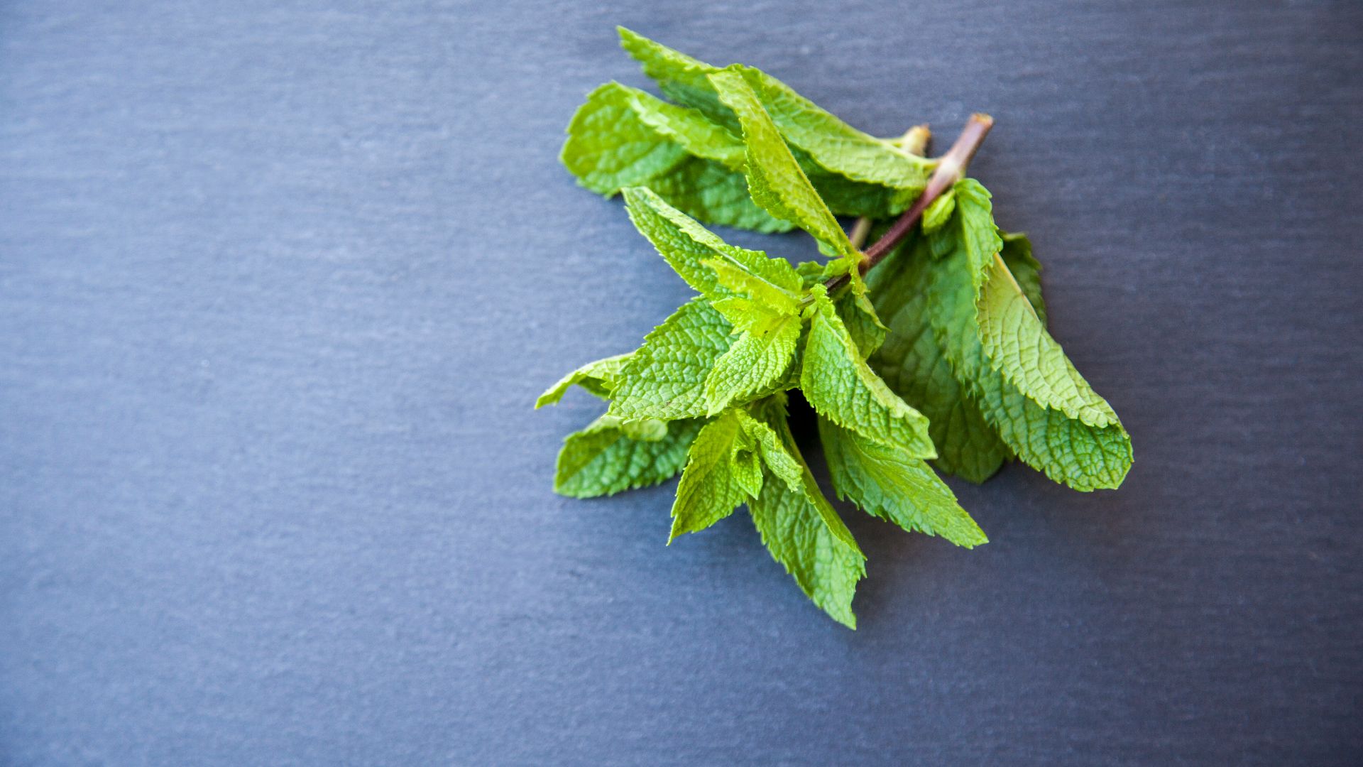 8. Menthe poivrée