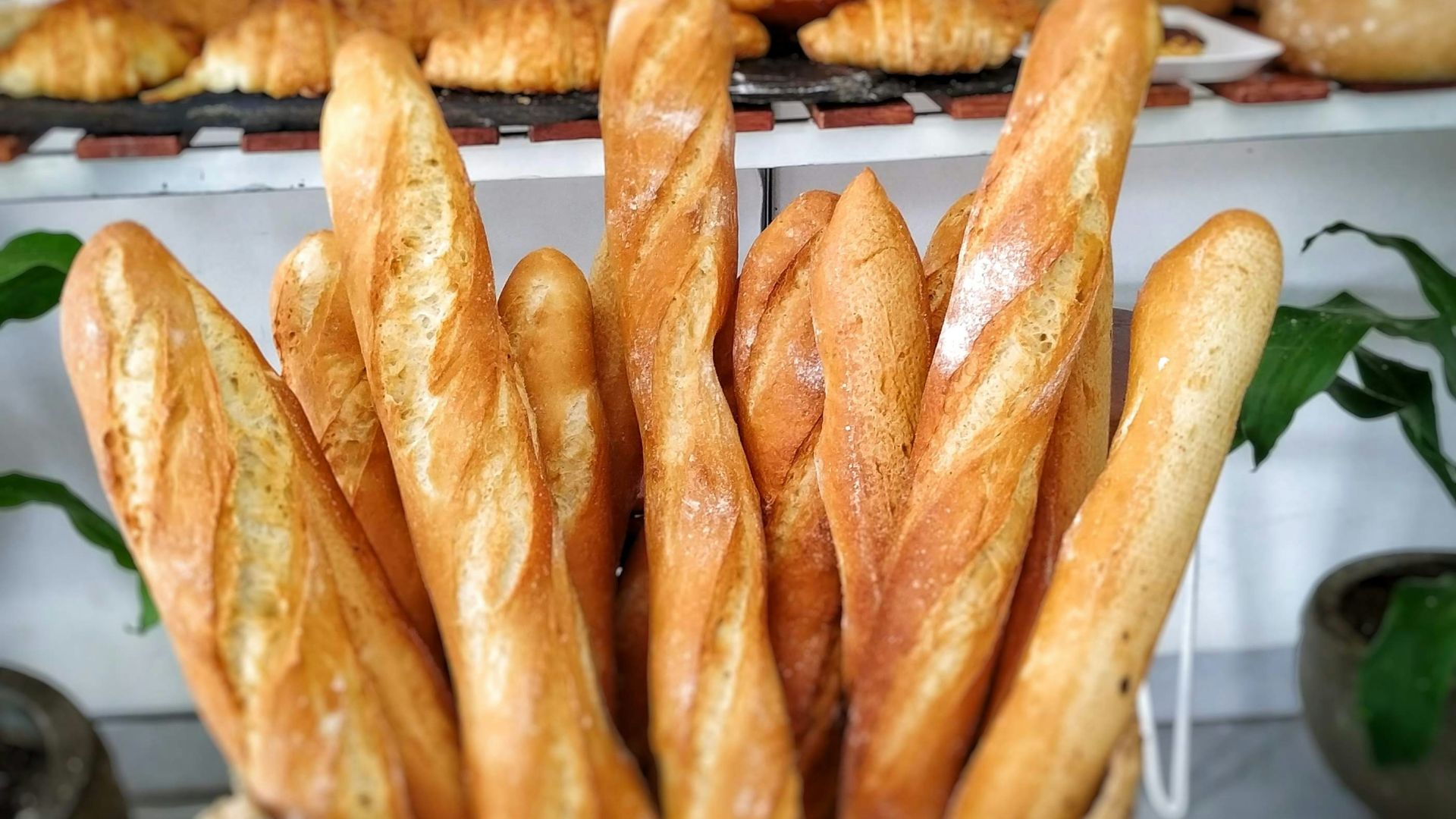 1. Baguette