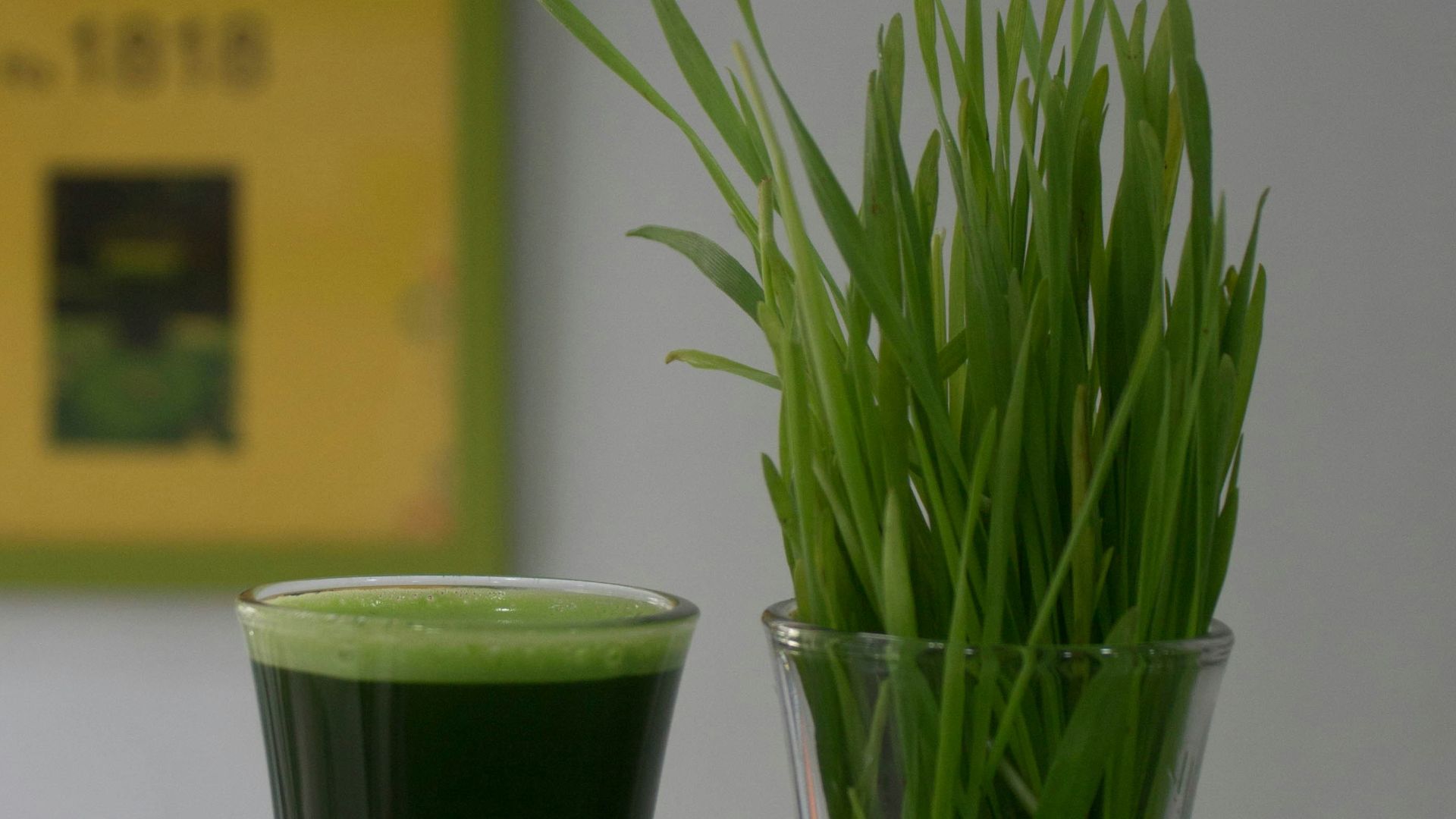 6. Shots à l'herbe de blé