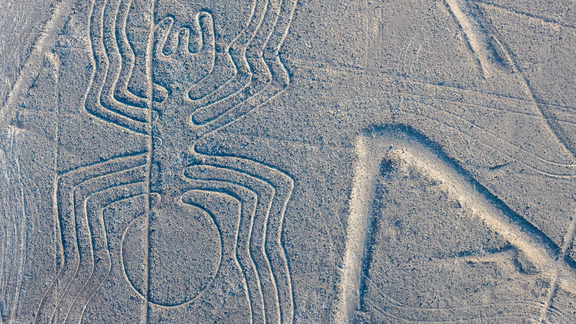 5. Les lignes de Nazca